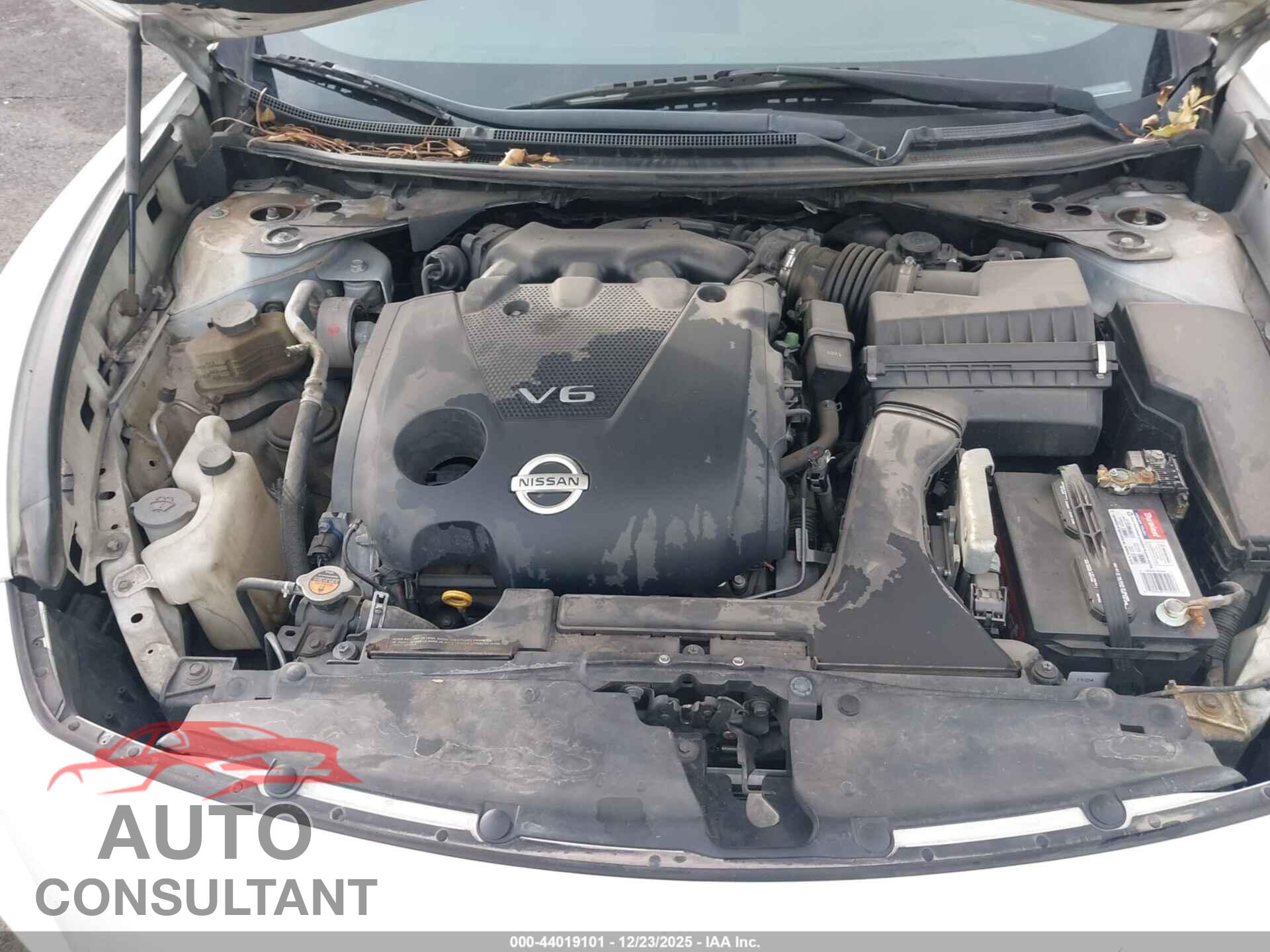 NISSAN MAXIMA 2012 - 1N4AA5AP4CC800061