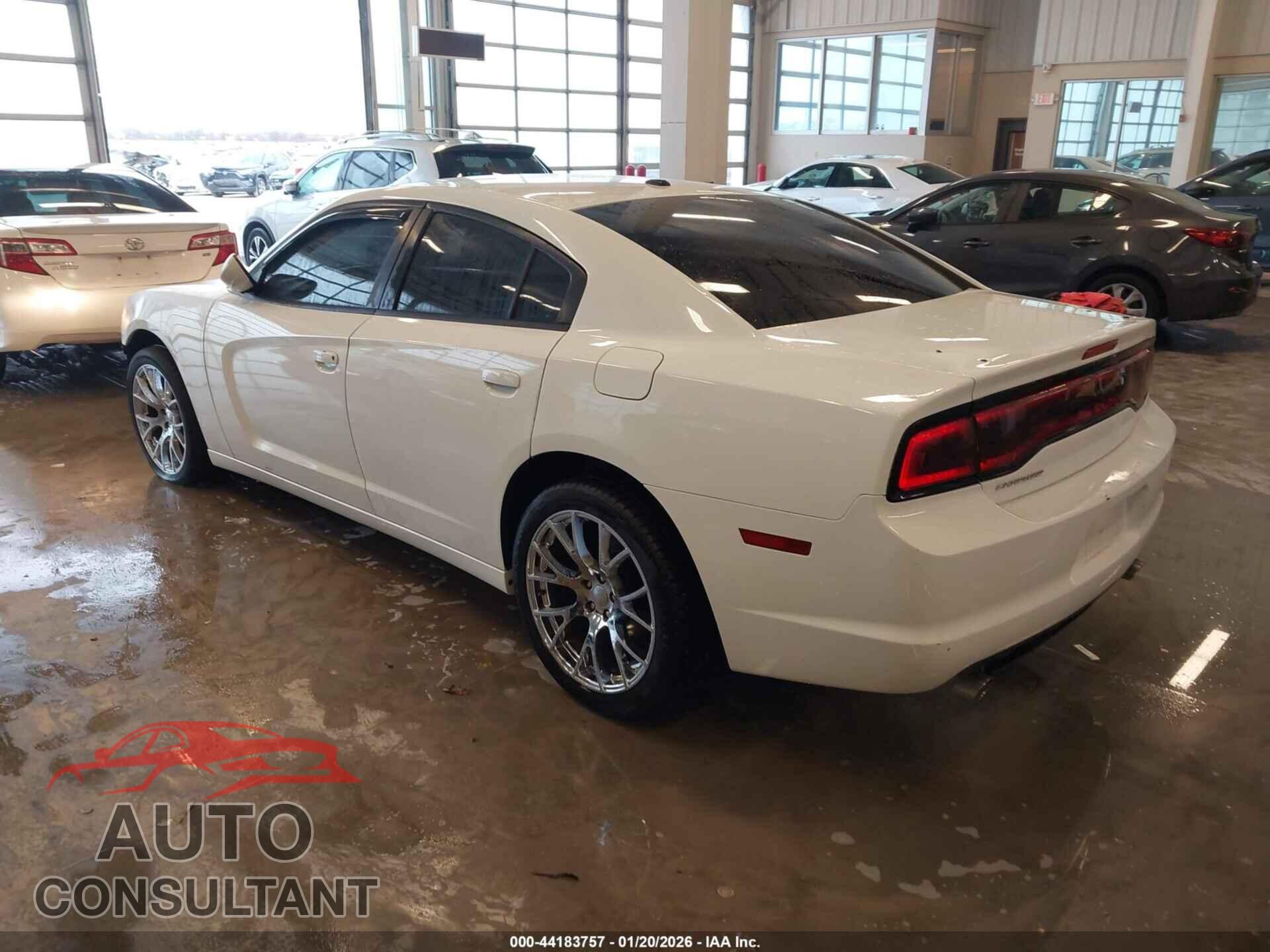 DODGE CHARGER 2011 - 2B3CL3CG9BH579195
