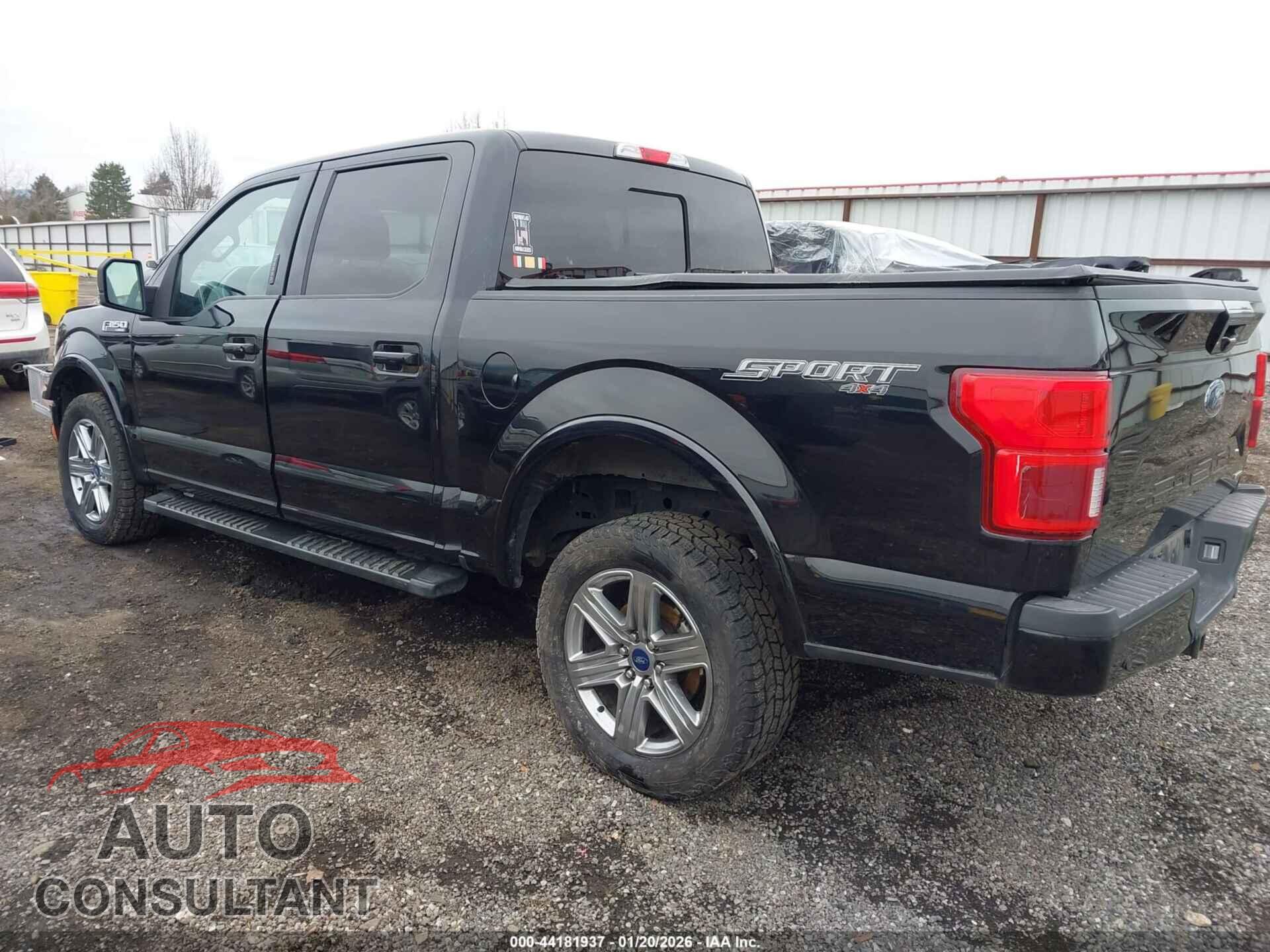 FORD F-150 2019 - 1FTEW1EP8KFA84035