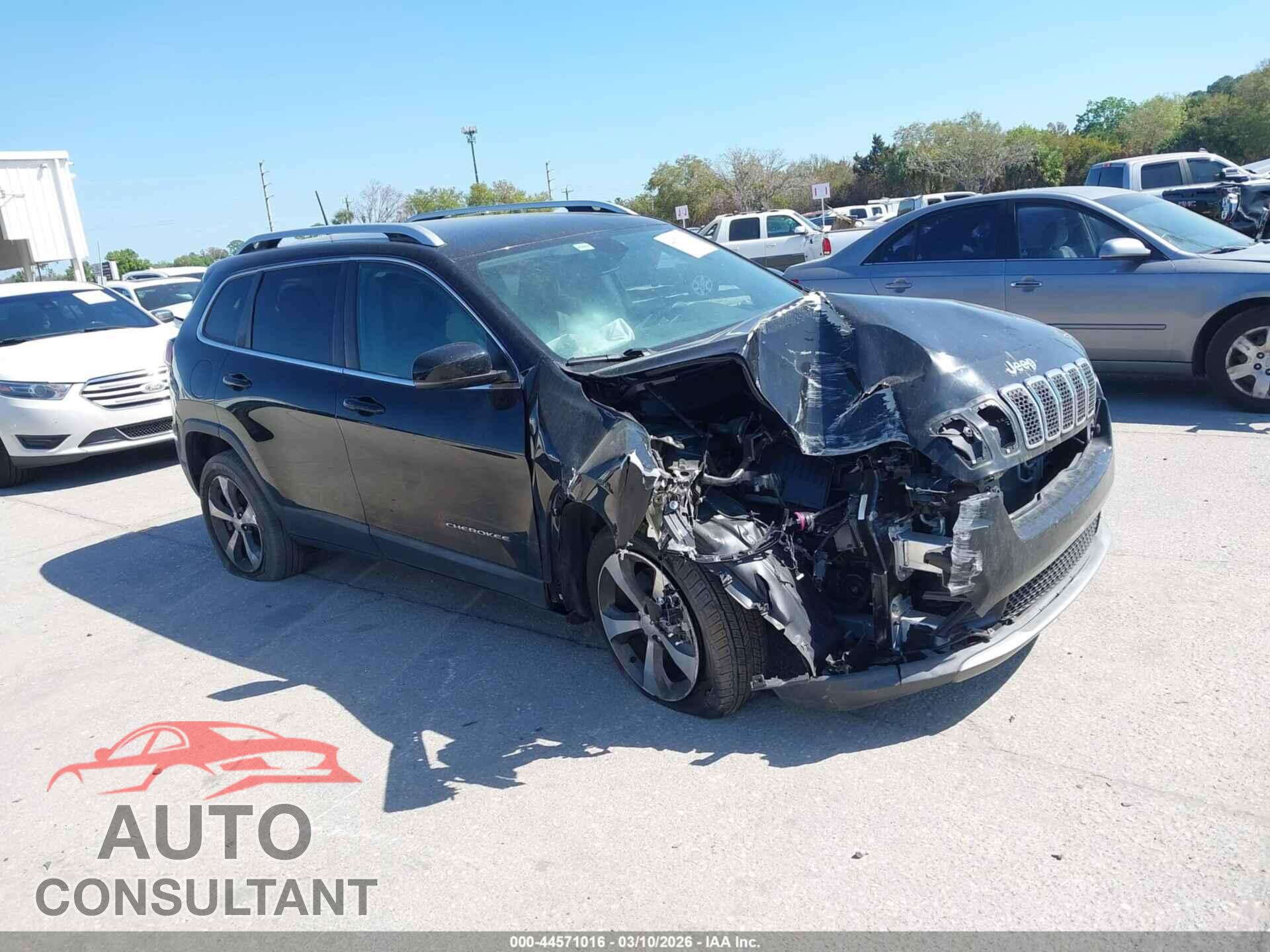 JEEP CHEROKEE 2019 - 1C4PJLDB5KD325974
