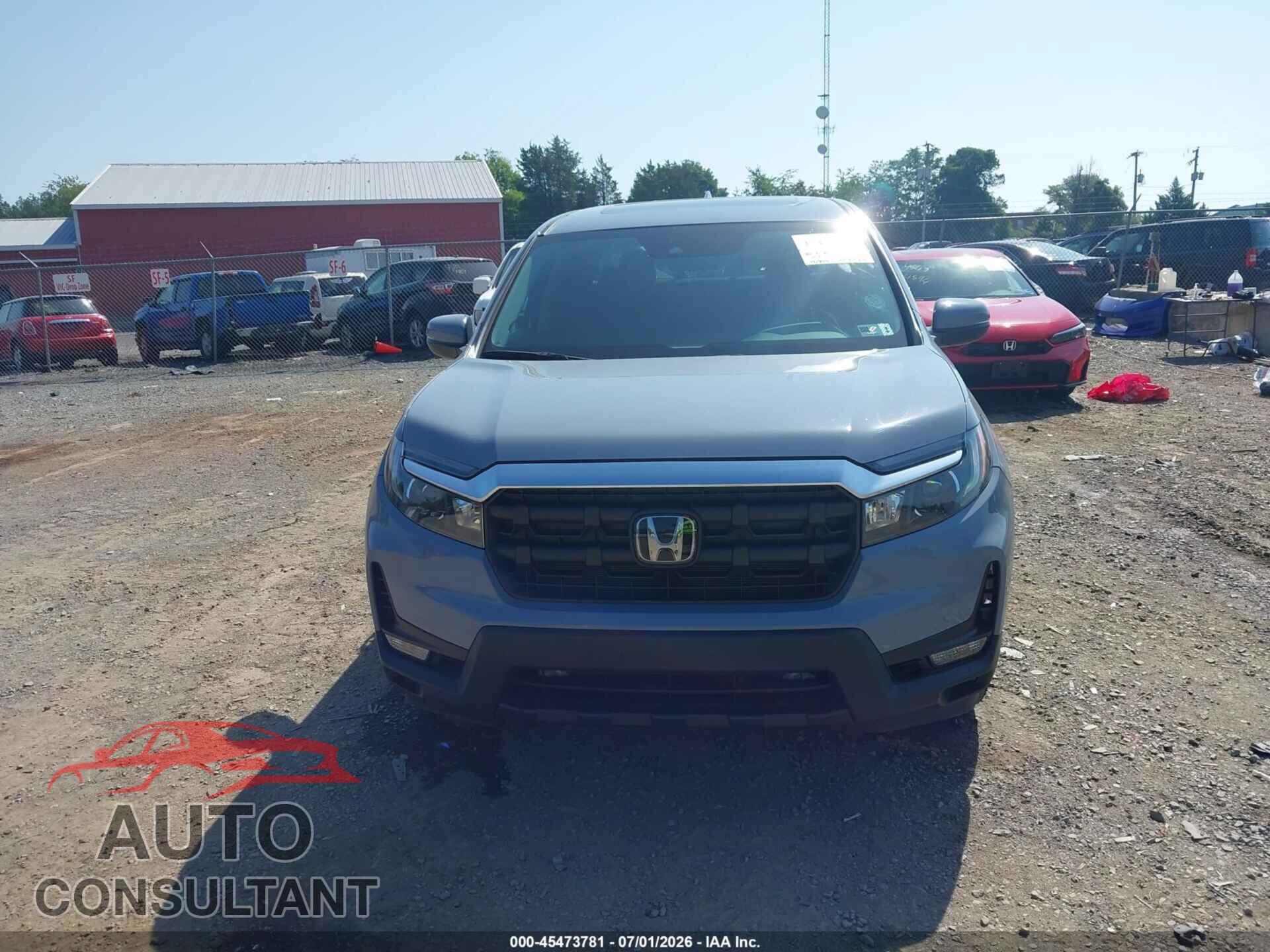 HONDA RIDGELINE 2024 - 5FPYK3F52RB013355