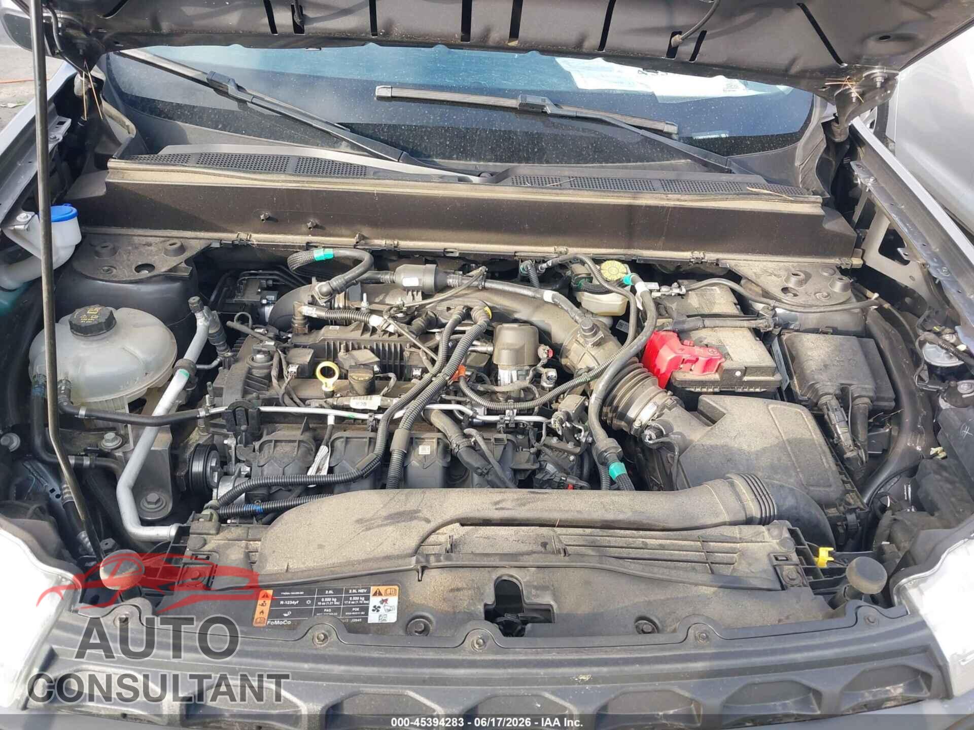 FORD MAVERICK 2023 - 3FTTW8F91PRA09221