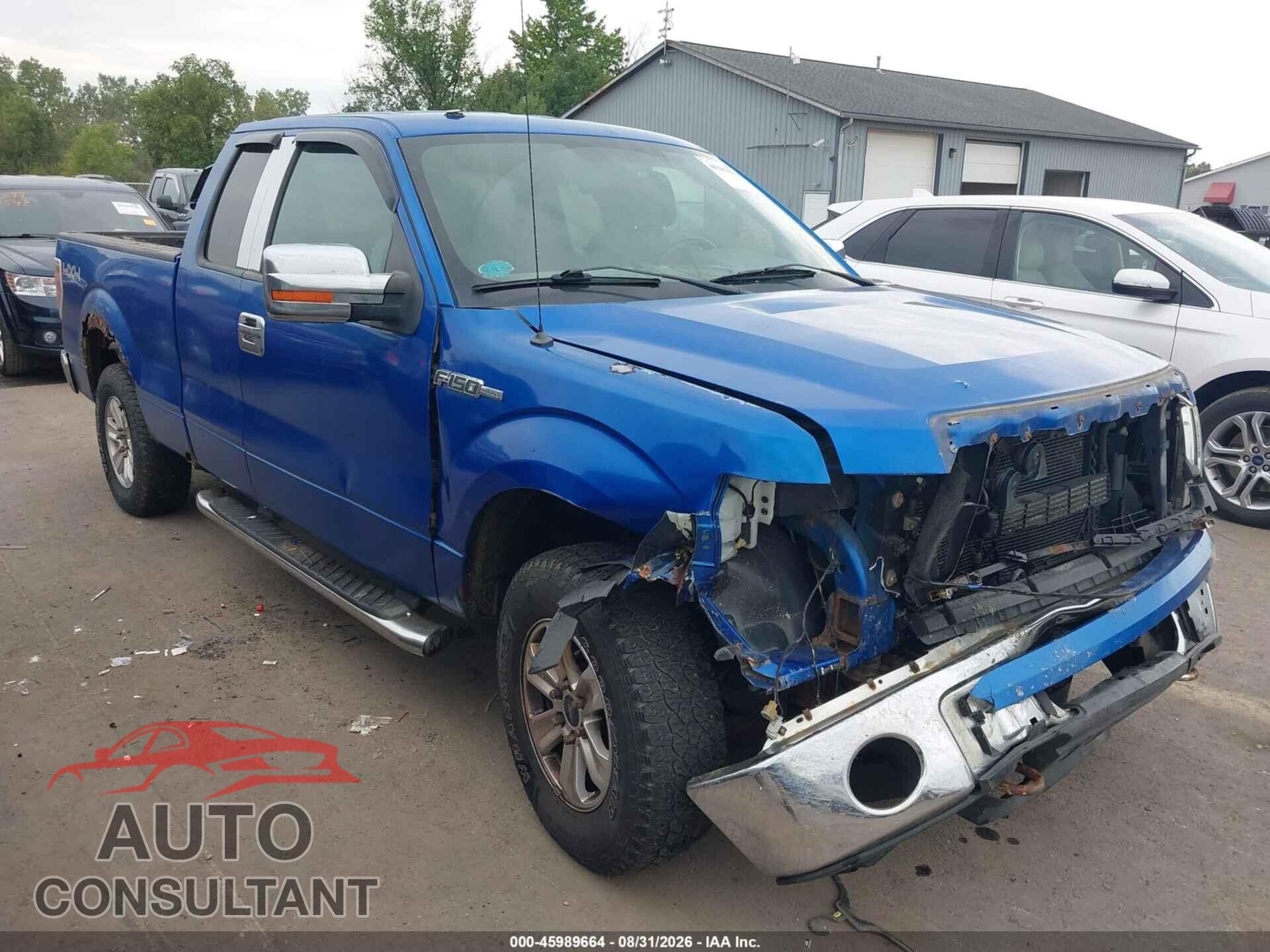 FORD F-150 2013 - 1FTFX1EF7DFD32383