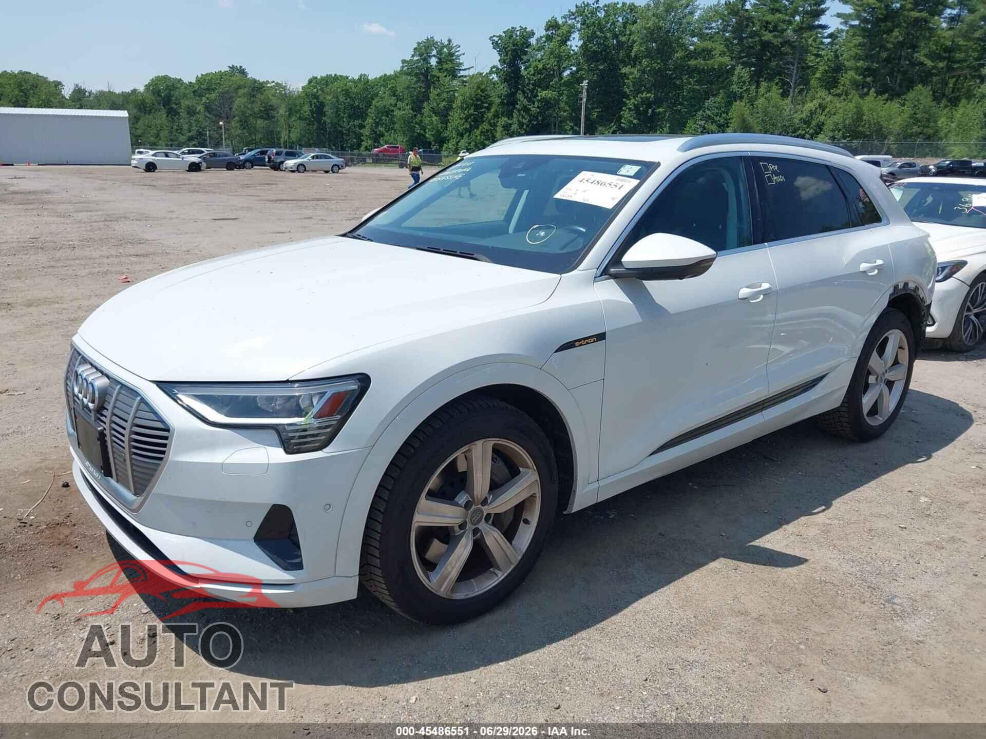 AUDI E-TRON 2019 - WA1LAAGEXKB022848