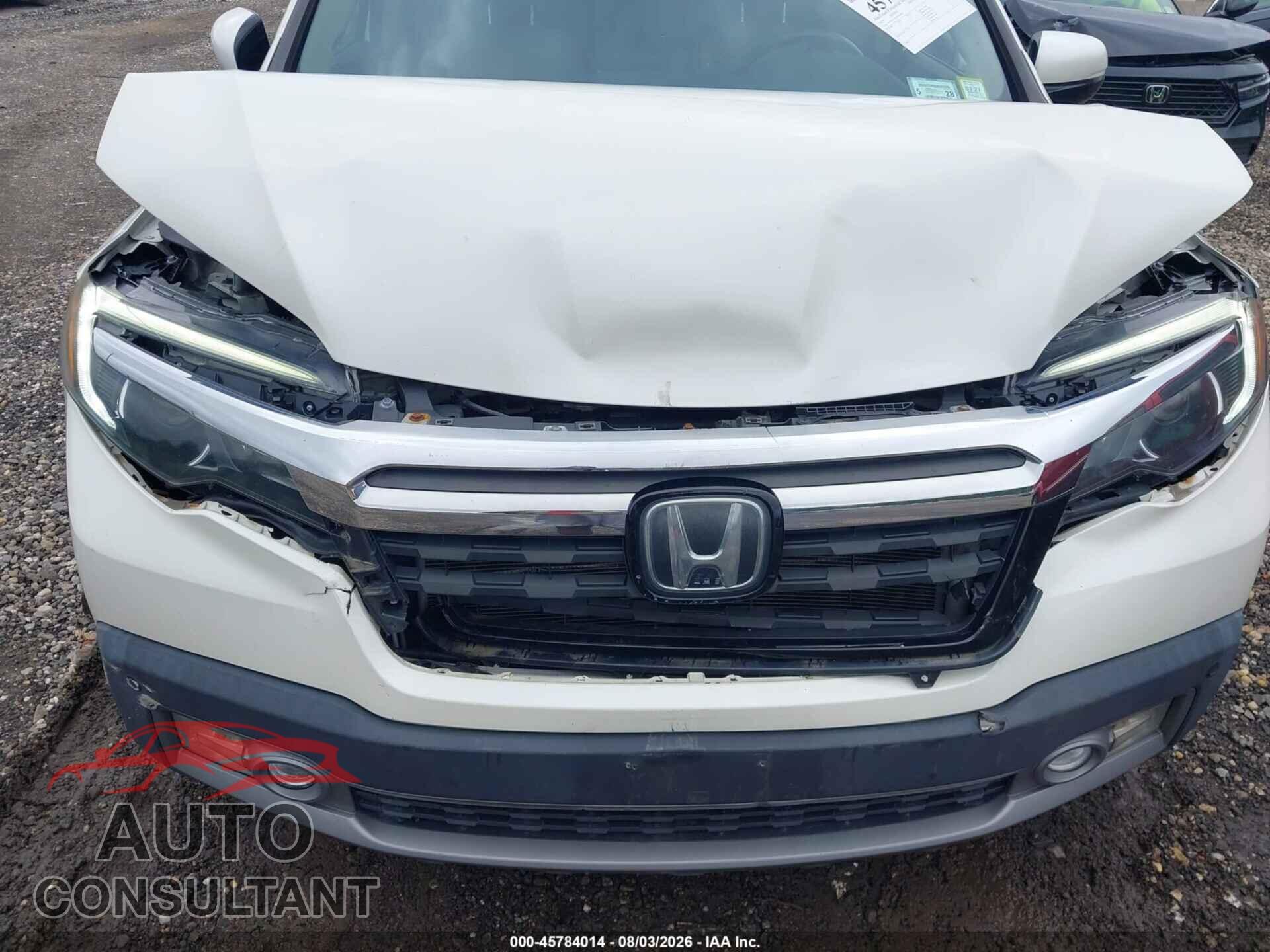 HONDA RIDGELINE 2019 - 5FPYK3F76KB028058