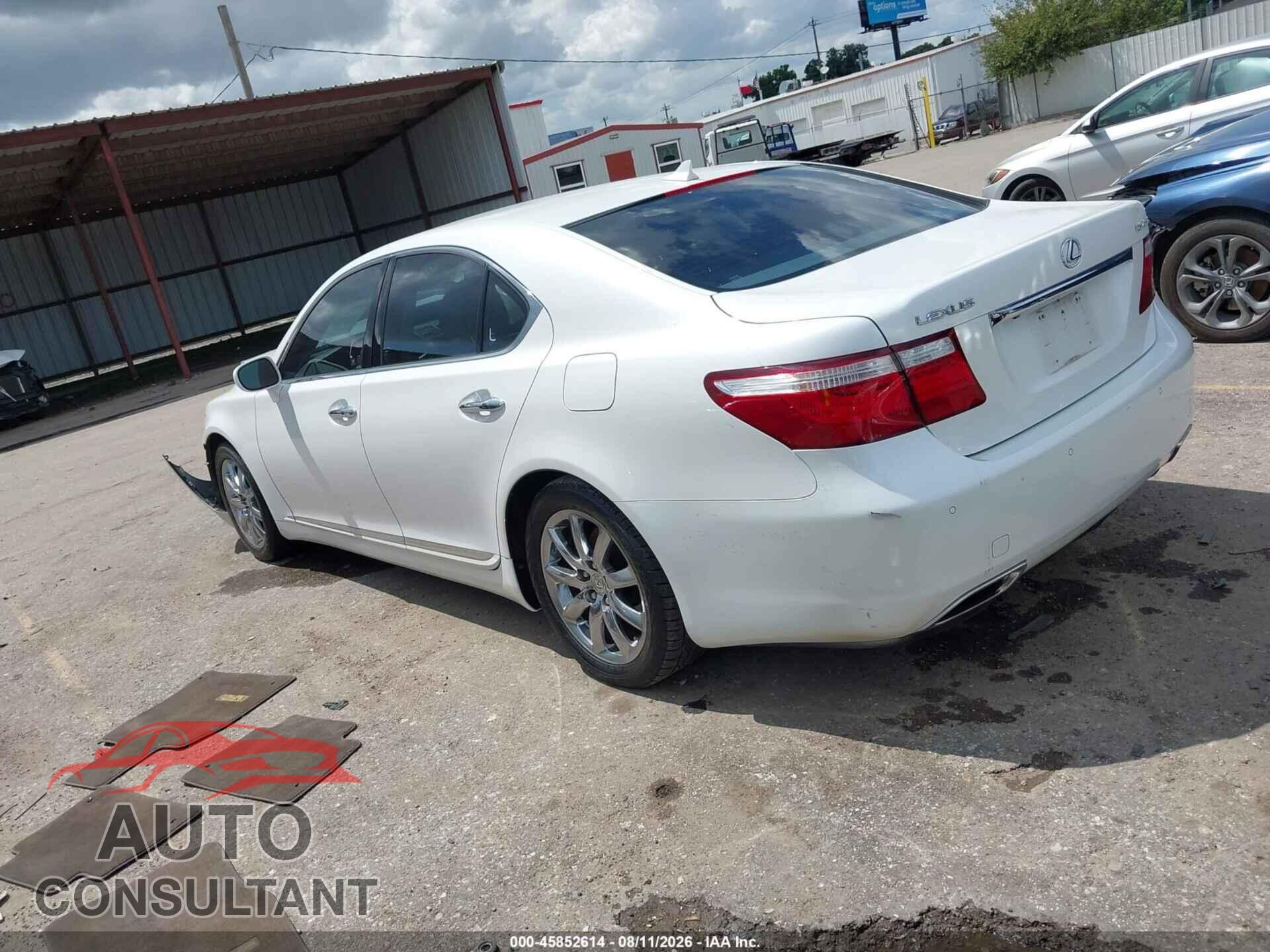 LEXUS LS 460 2009 - JTHBL46F695087257