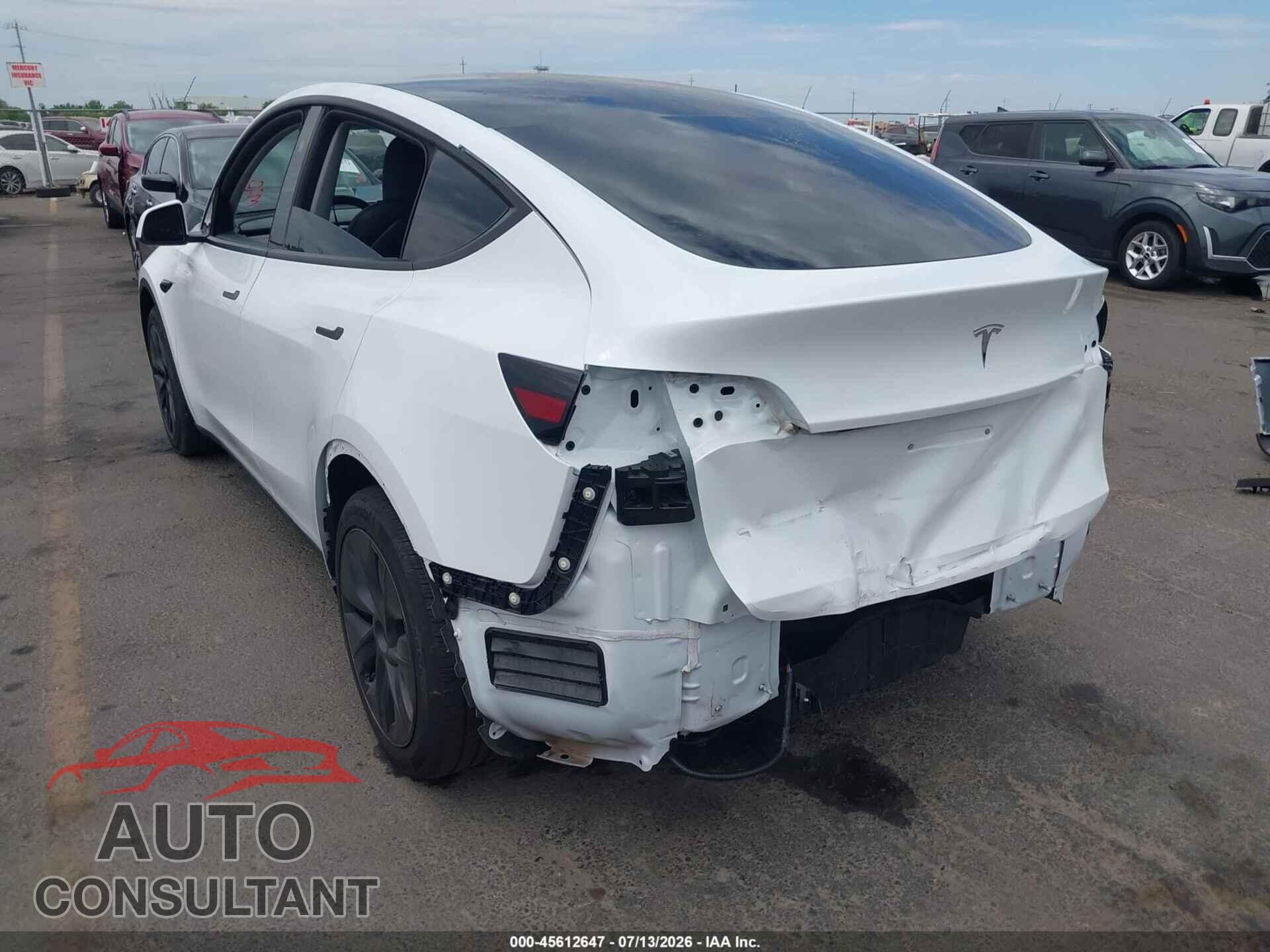 TESLA MODEL Y 2024 - 7SAYGDED3RF117932