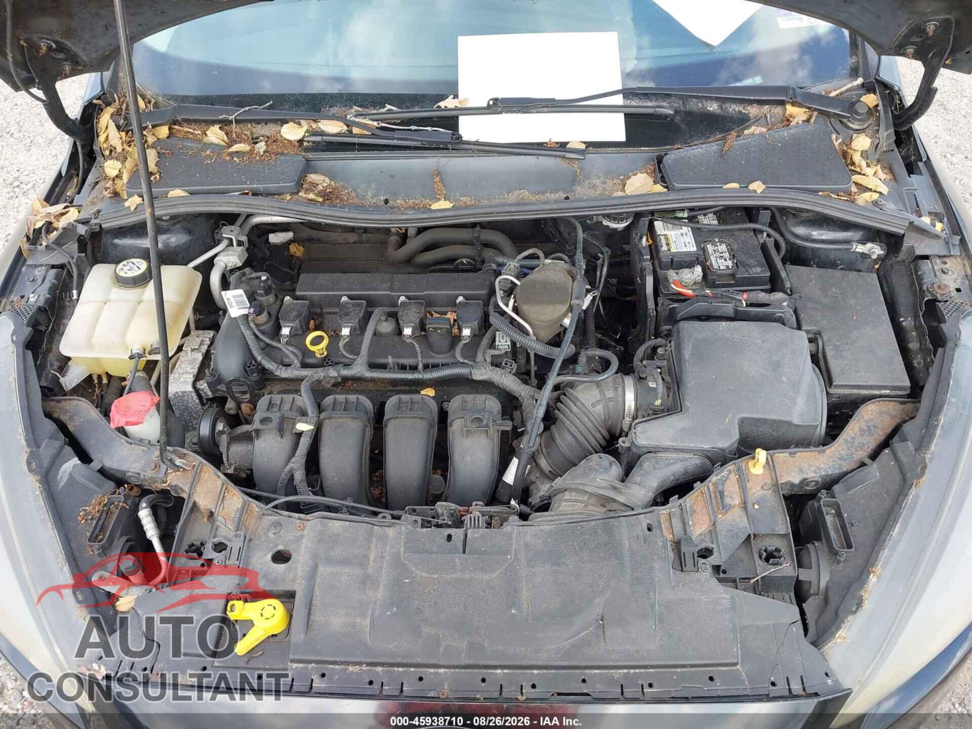 FORD FOCUS 2016 - 1FADP3K20GL225630