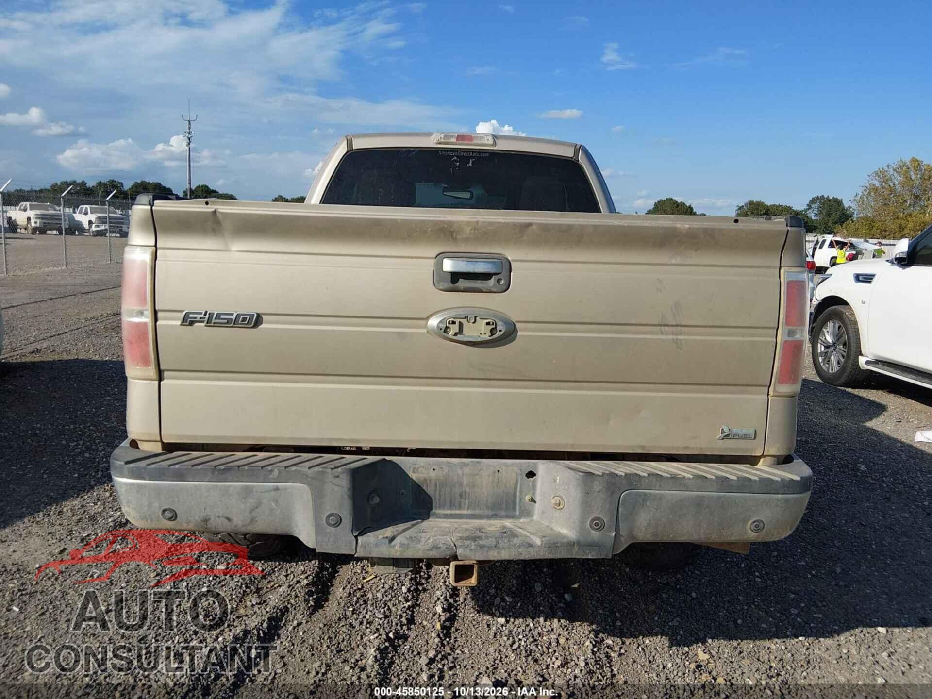 FORD F-150 2010 - 1FTFX1EV6AFD50778
