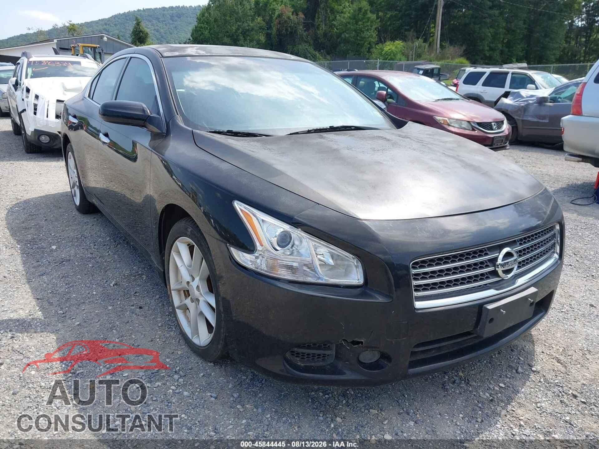 NISSAN MAXIMA 2011 - 1N4AA5AP8BC853375