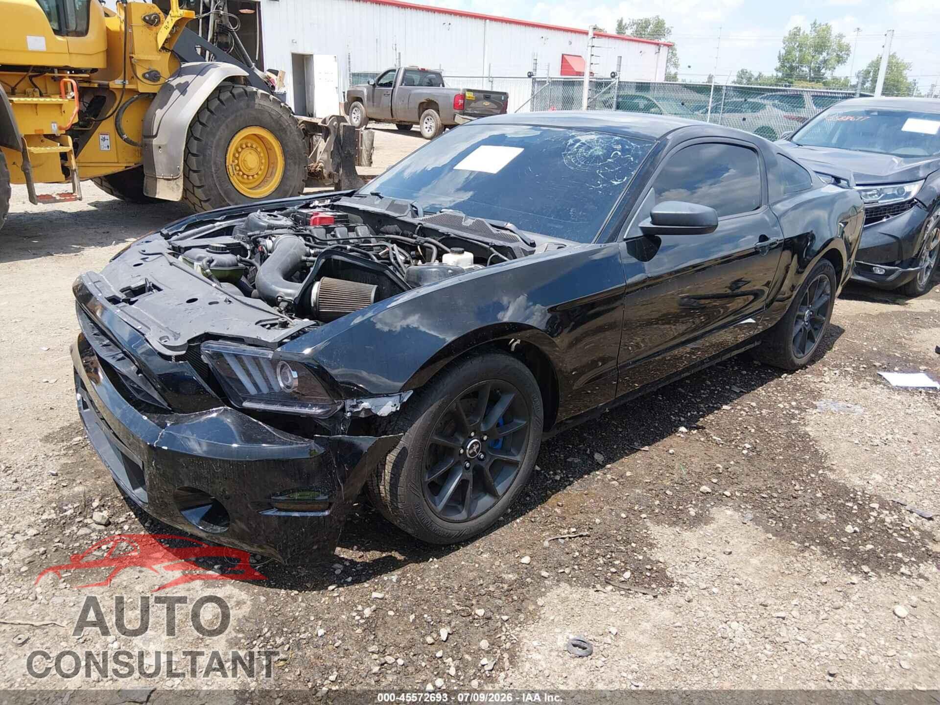 FORD MUSTANG 2012 - 1ZVBP8AM9C5244643