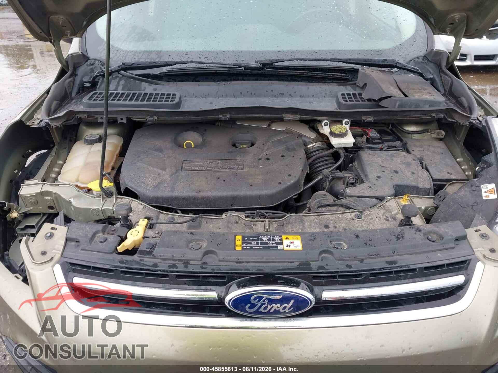 FORD ESCAPE 2013 - 1FMCU0J98DUA00191
