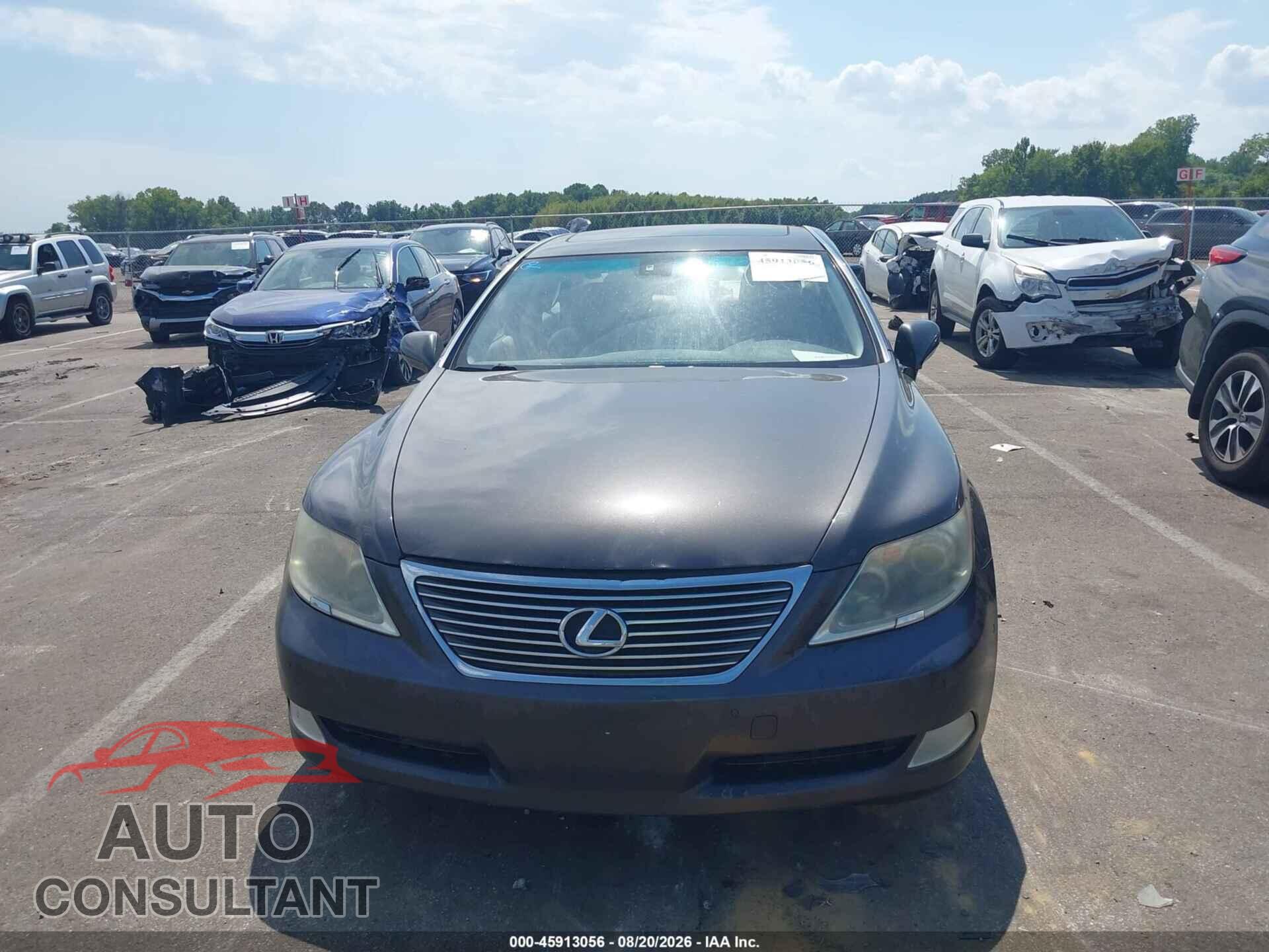LEXUS LS 460 2009 - JTHBL46F295087403