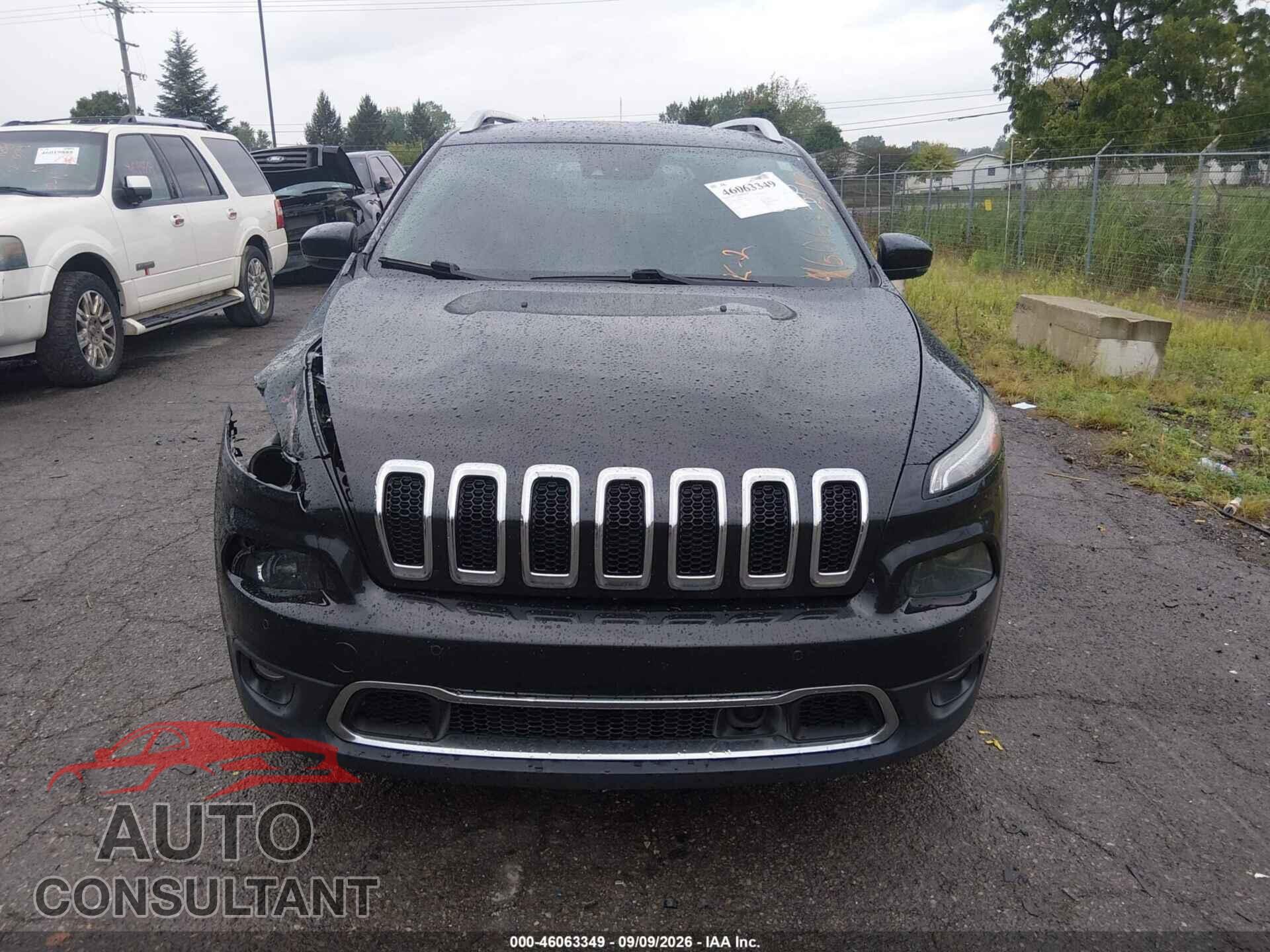 JEEP CHEROKEE 2014 - 1C4PJMDS4EW232099