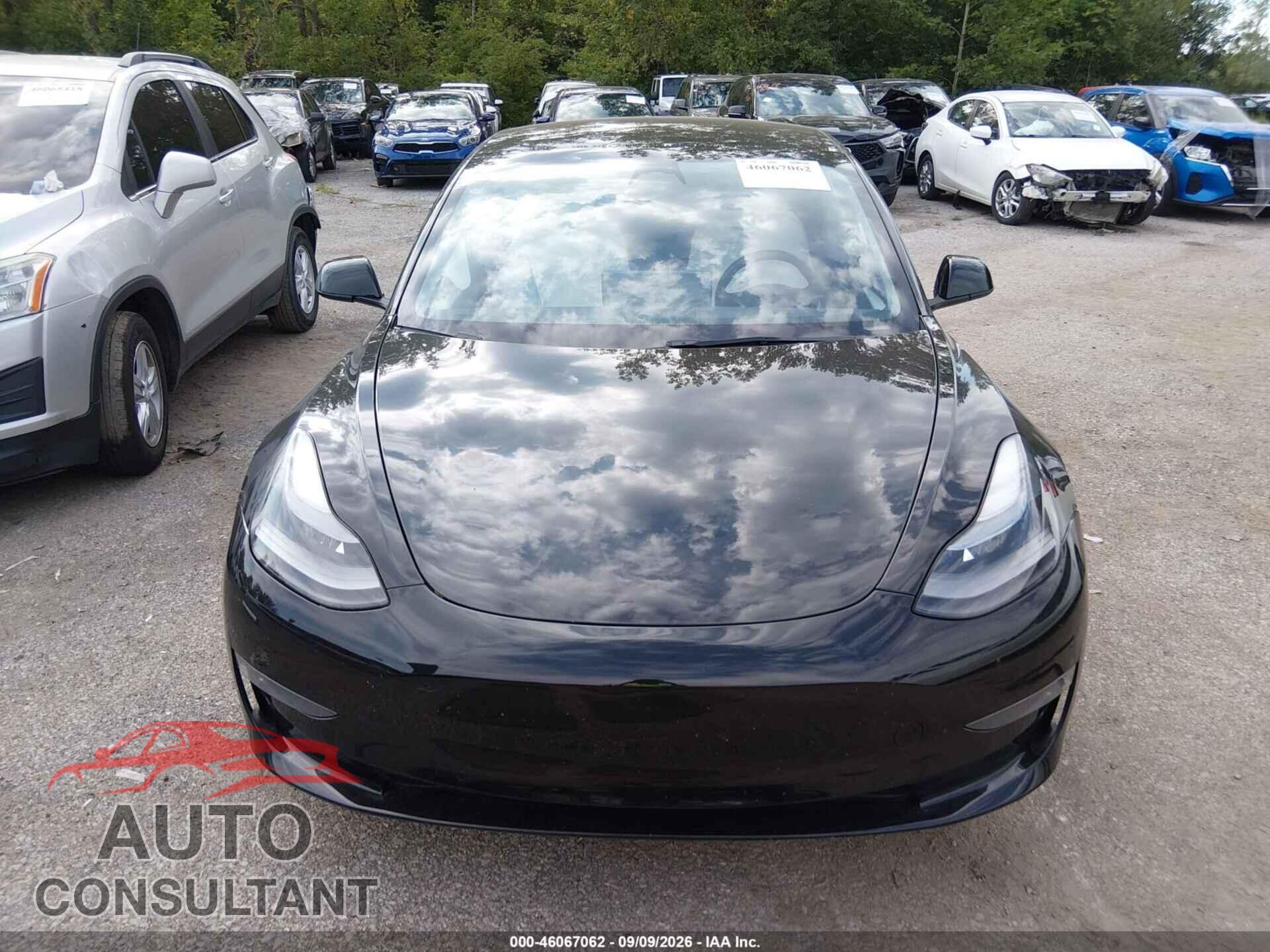 TESLA MODEL 3 2022 - 5YJ3E1EB7NF176177