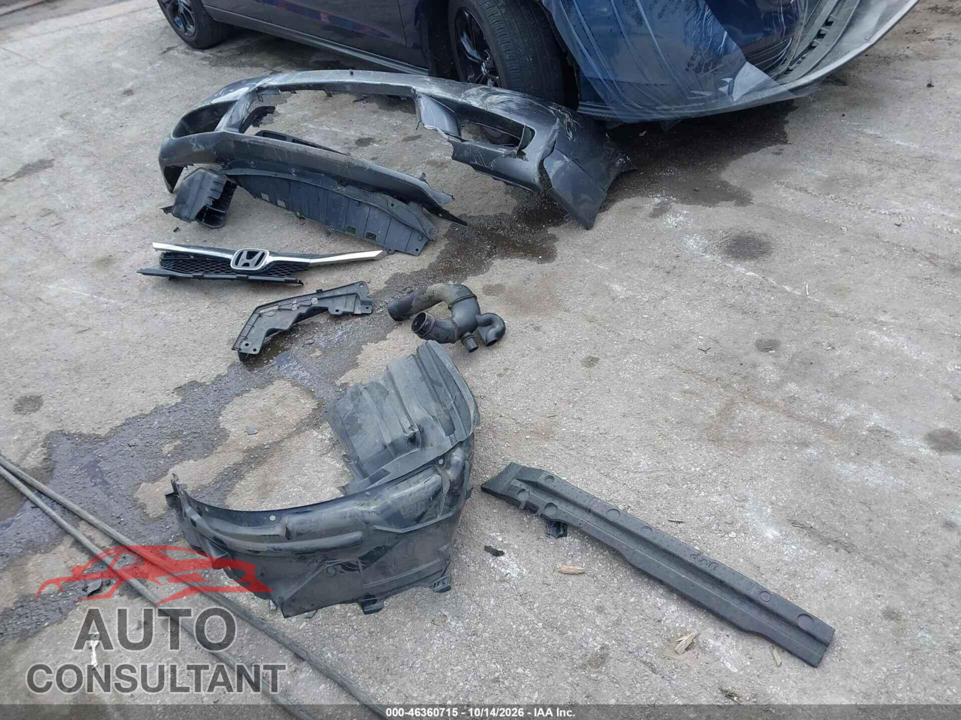 HONDA CIVIC 2011 - 19XFA1F84BE003603