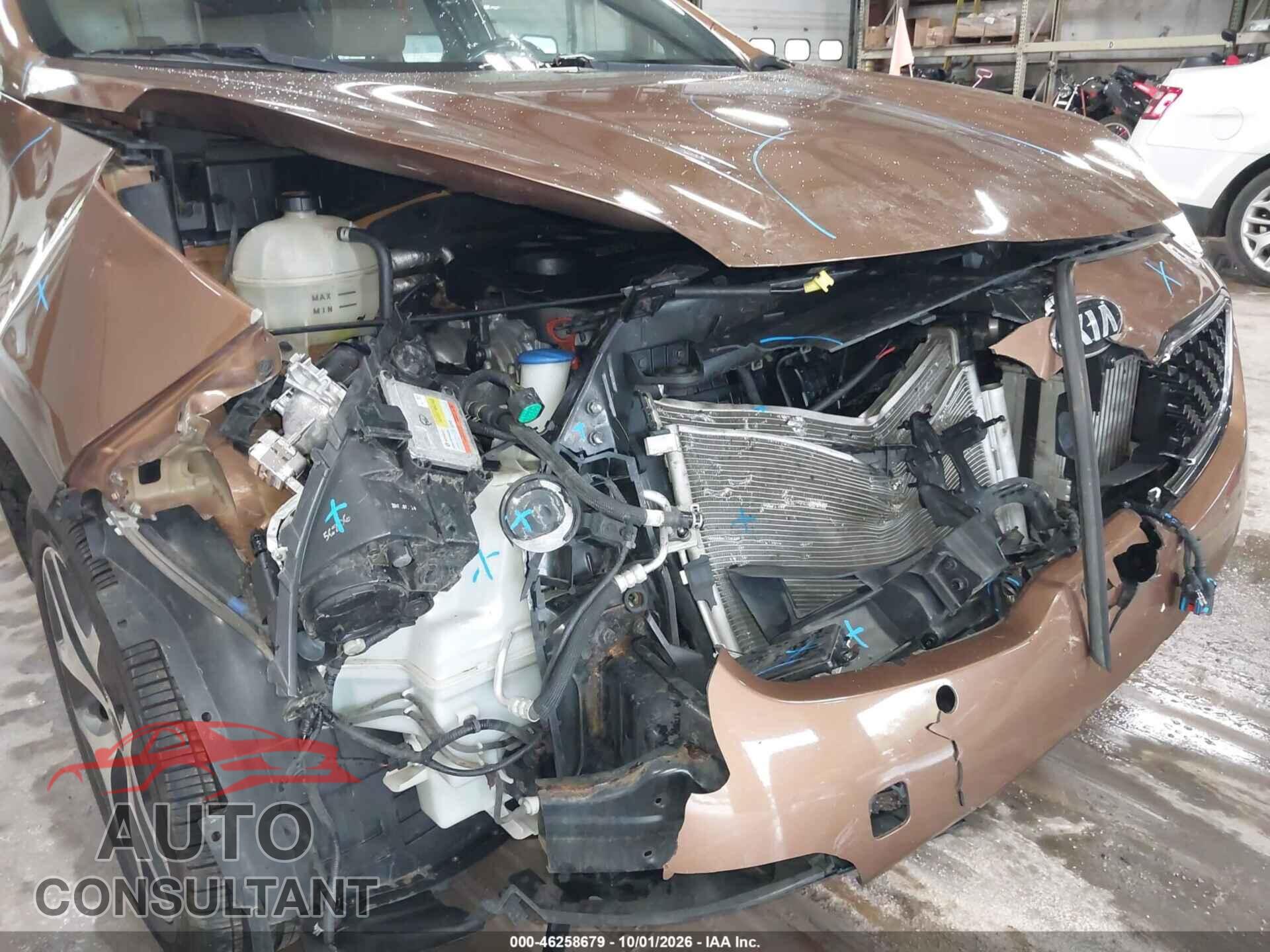 KIA SPORTAGE 2018 - KNDPRCA64J7367632