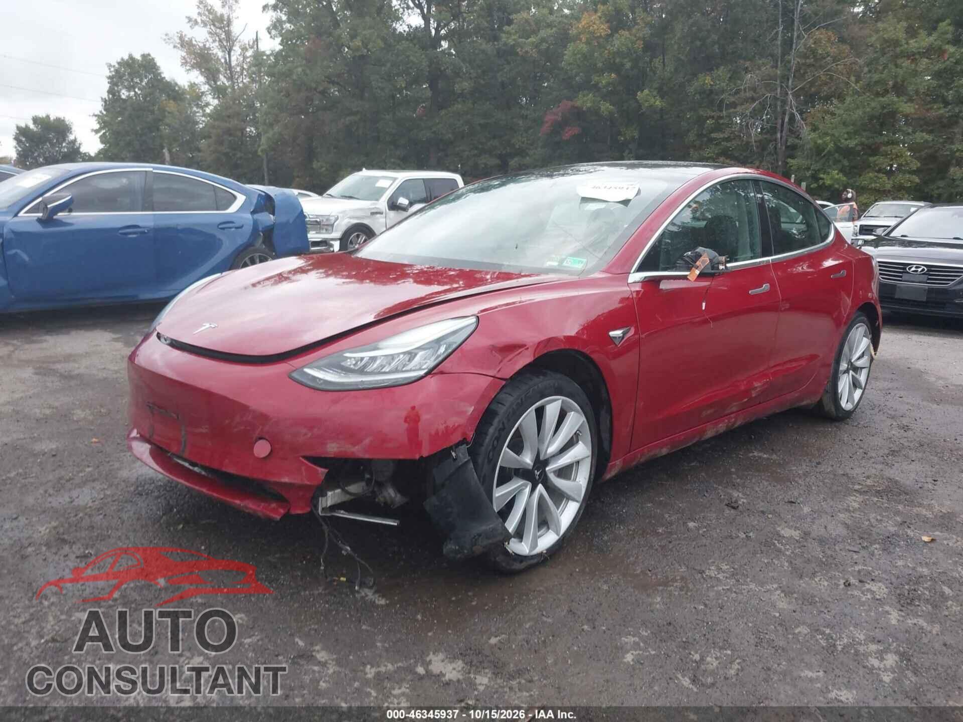 TESLA MODEL 3 2019 - 5YJ3E1EB0KF442442