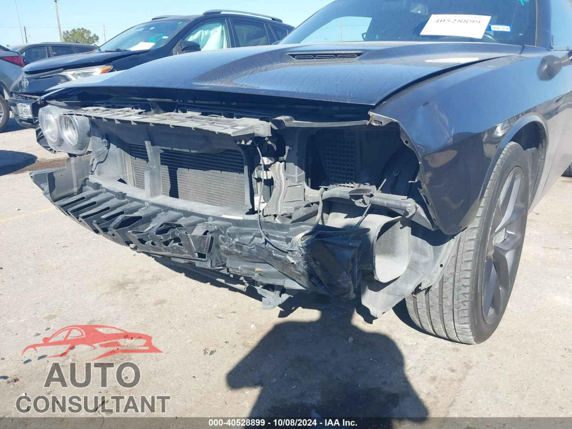 DODGE CHALLENGER 2019 - 2C3CDZAG3KH503395