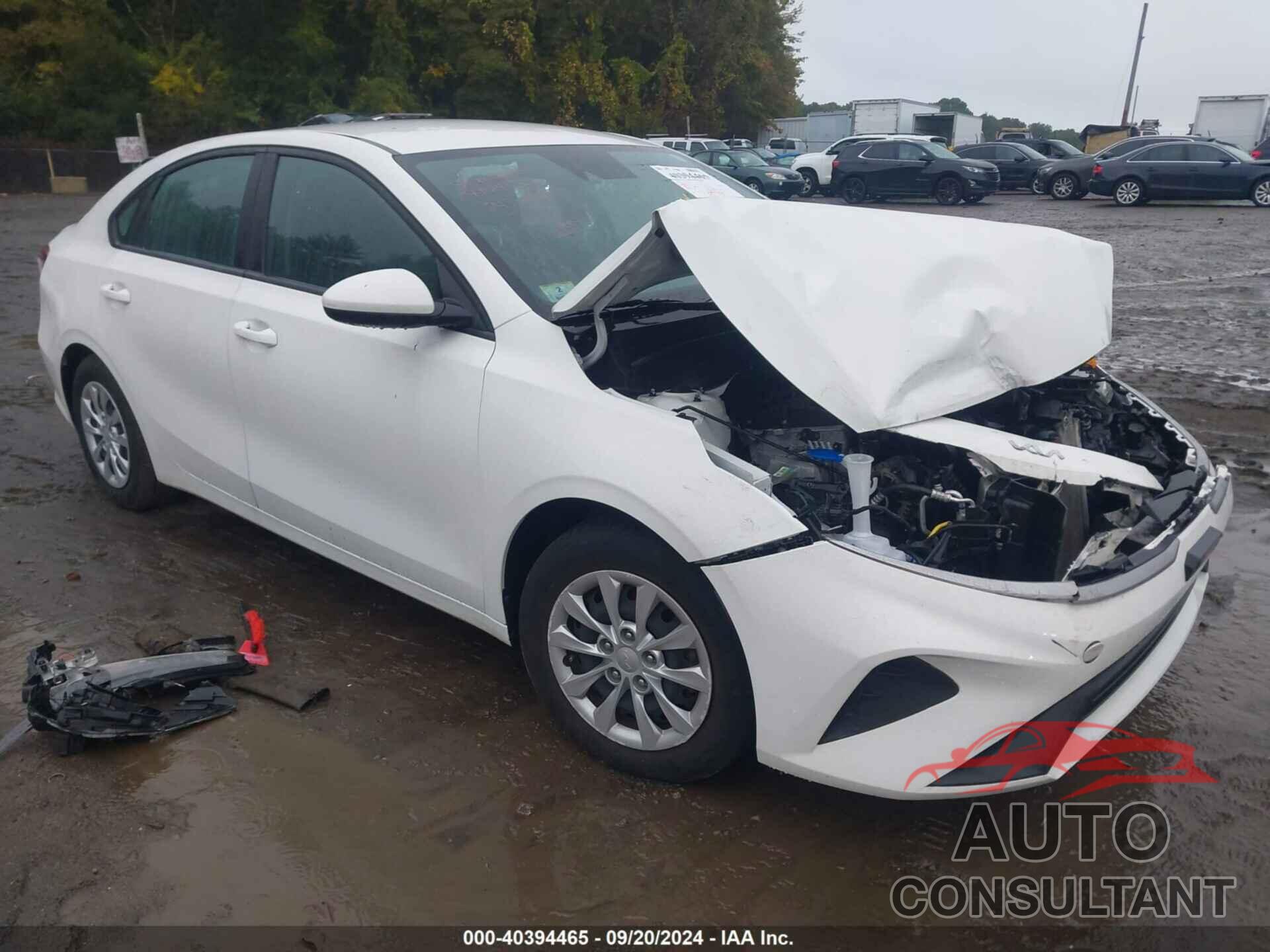 KIA FORTE 2022 - 3KPF24AD2NE431547