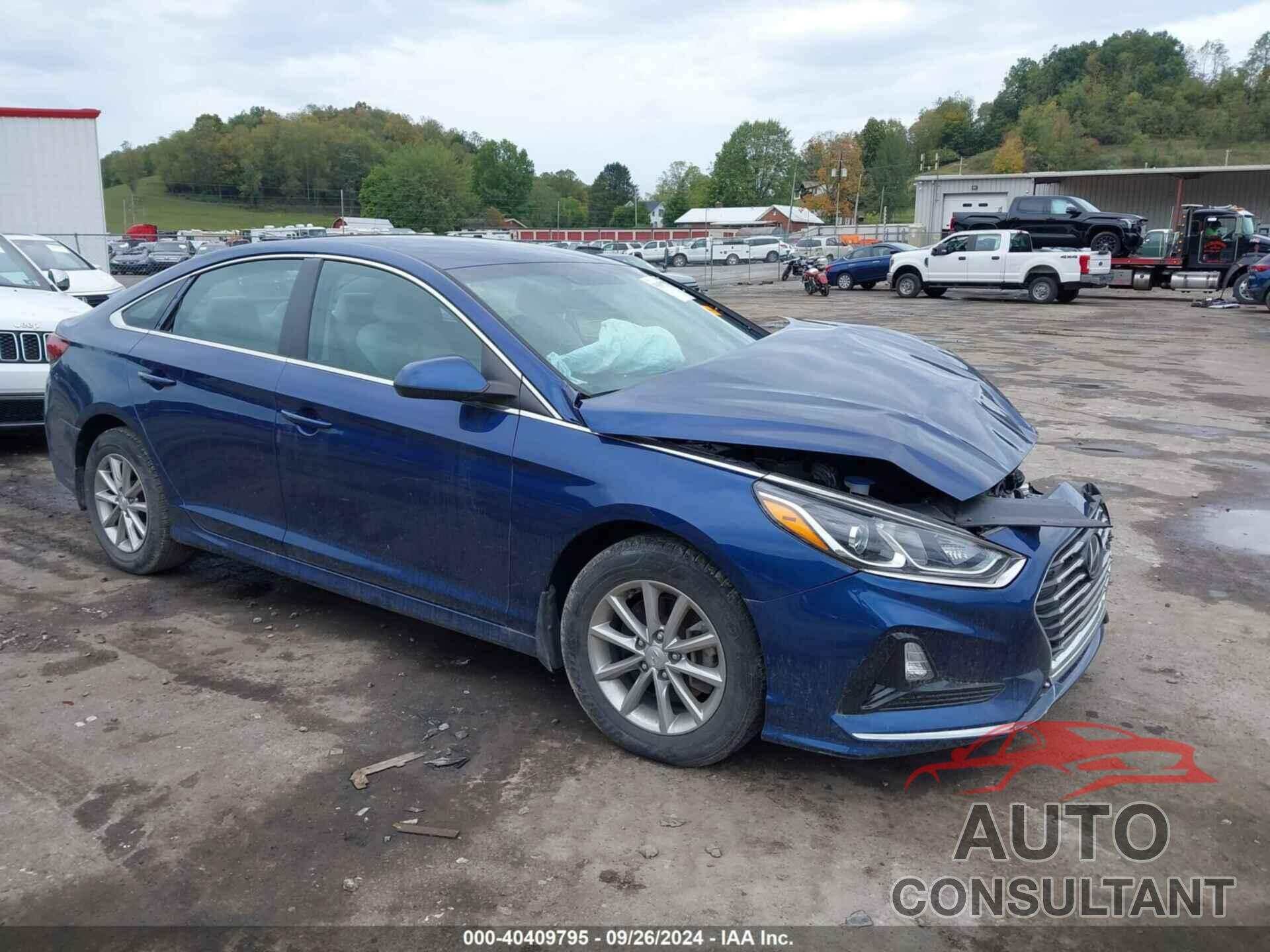 HYUNDAI SONATA 2019 - 5NPE24AF3KH806706