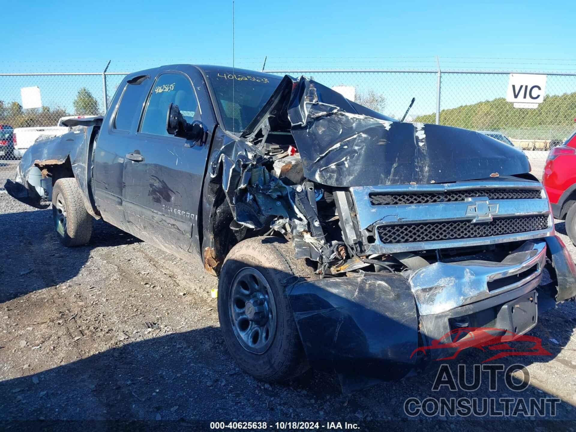 CHEVROLET SILVERADO 1500 2009 - 1GCEK29C29Z123588