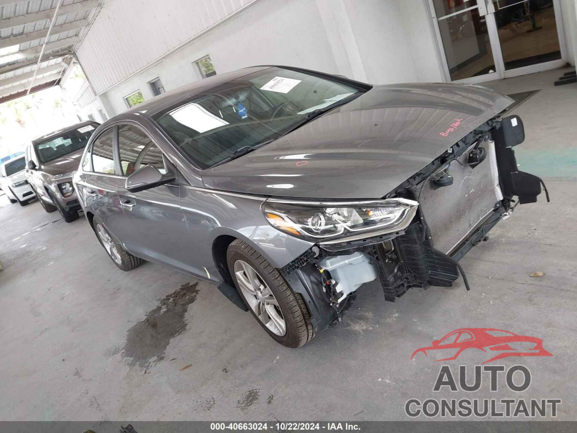 HYUNDAI SONATA 2019 - 5NPE34AF6KH752086
