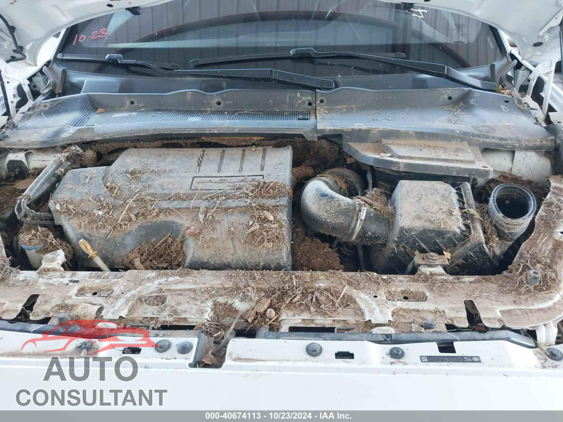 JAGUAR E-PACE 2019 - SADFP2FX8K1Z46709