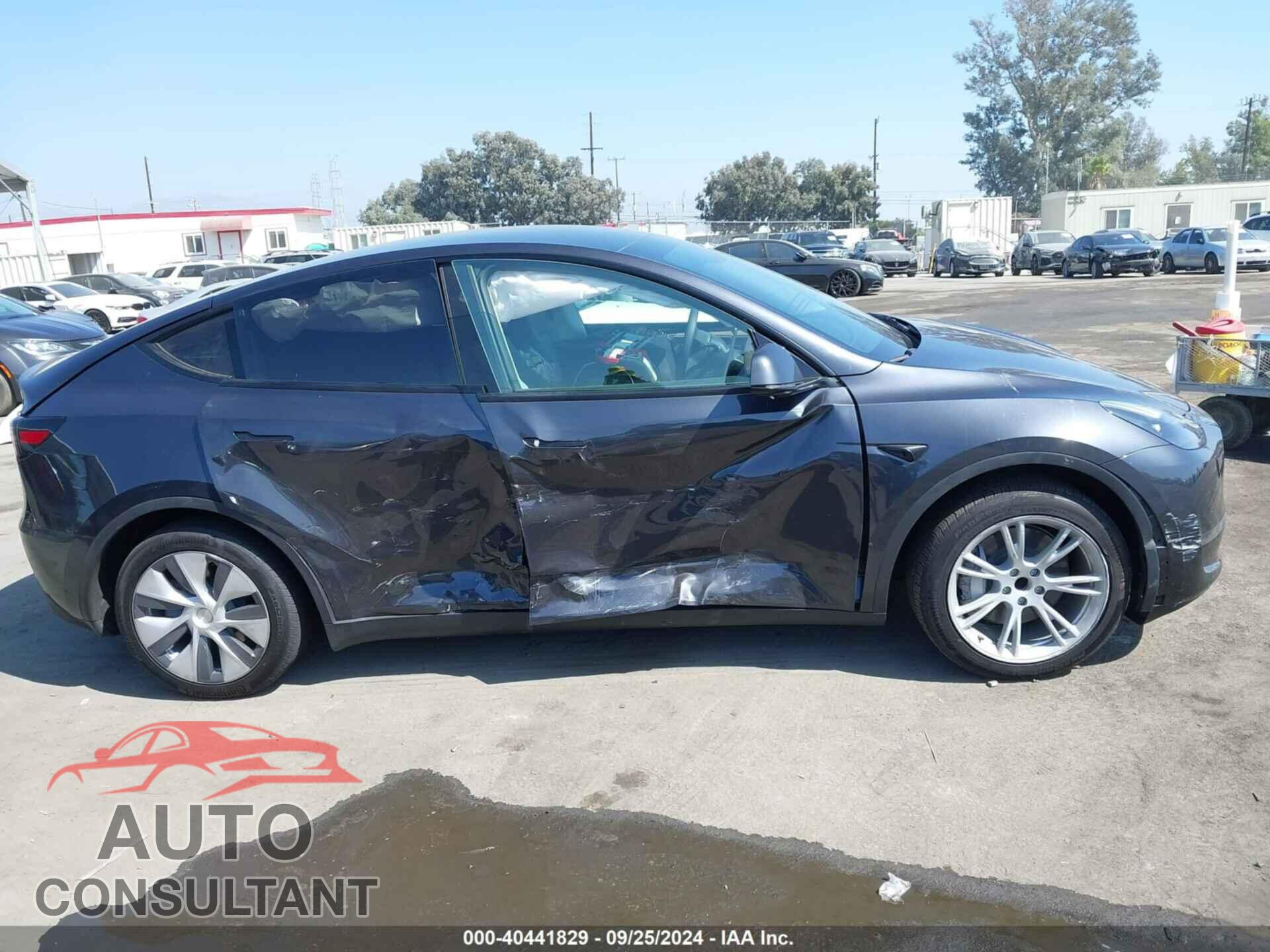TESLA MODEL Y 2024 - 7SAYGDED1RF097972