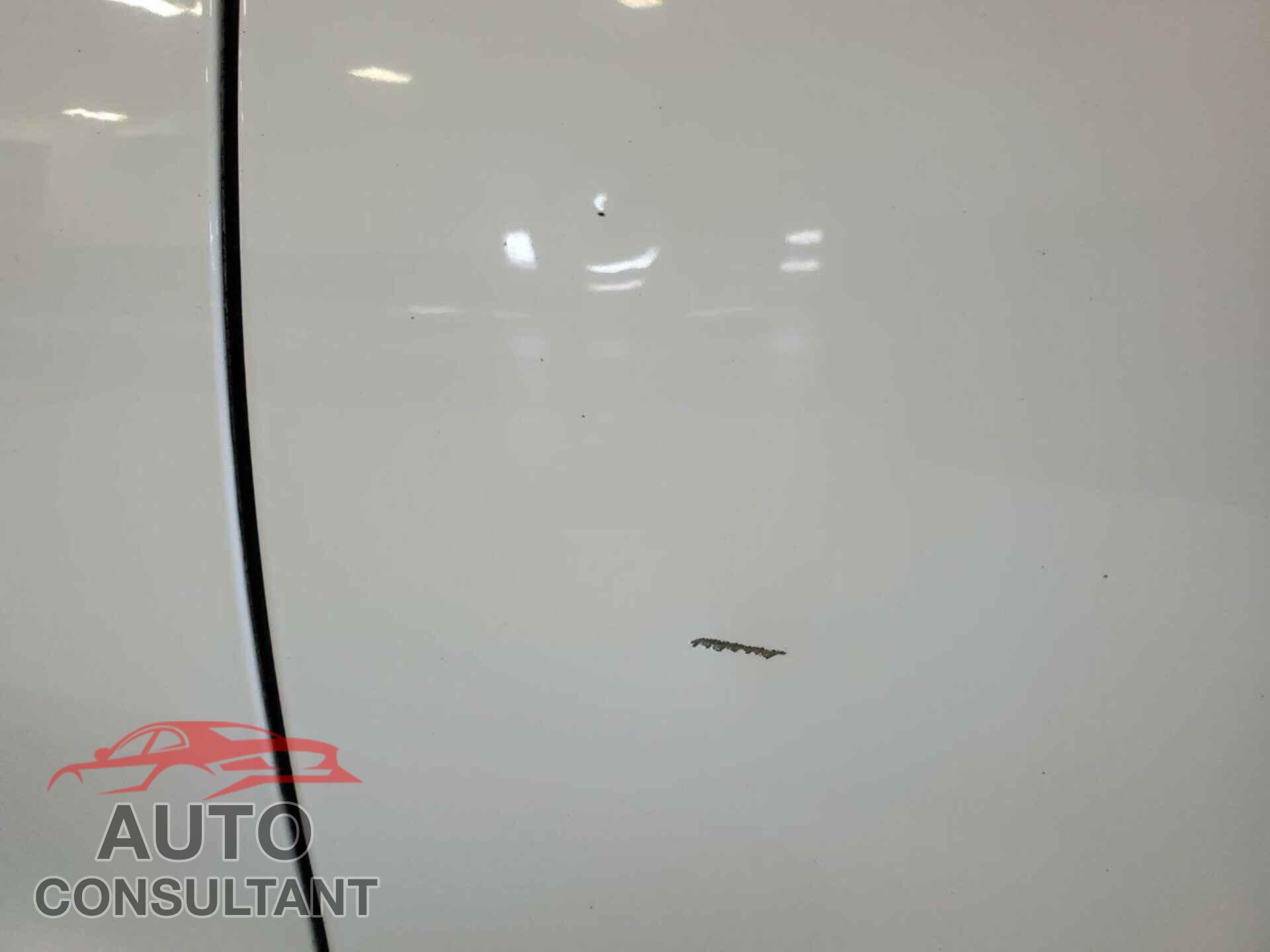 FORD TRANSIT 2016 - 1FTYE1ZM8GKA12766
