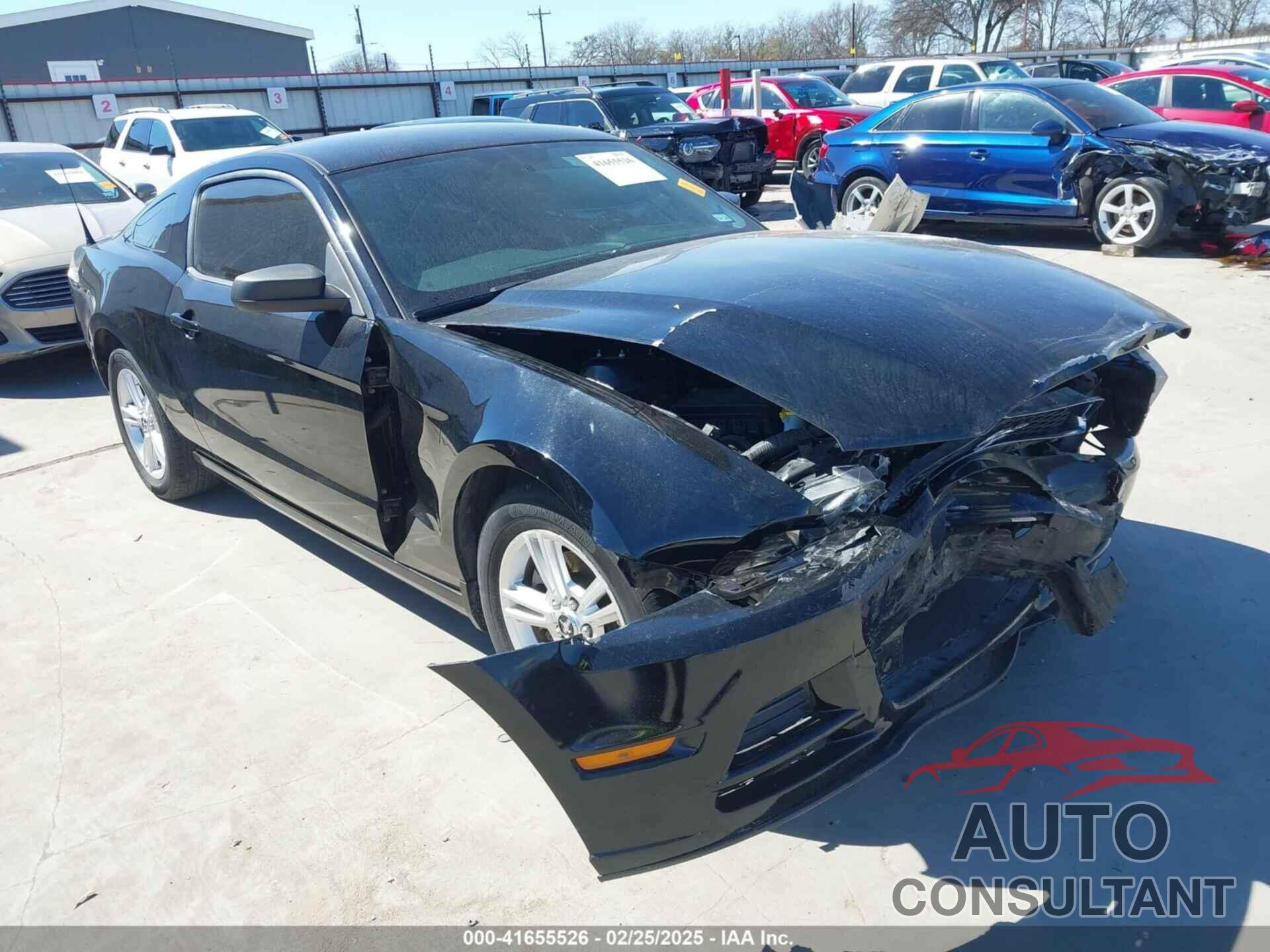 FORD MUSTANG 2013 - 1ZVBP8AM8D5259572