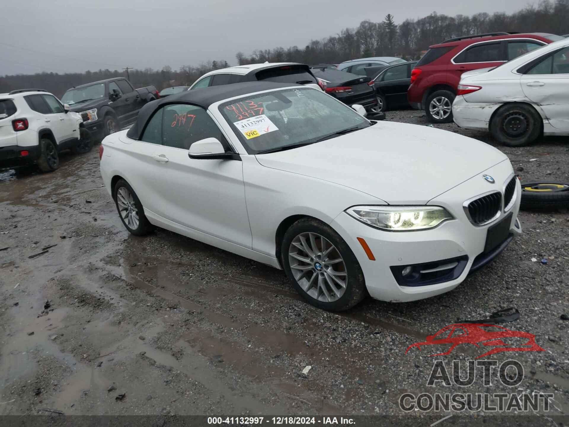 BMW 228I 2016 - WBA1L9C59GV767802