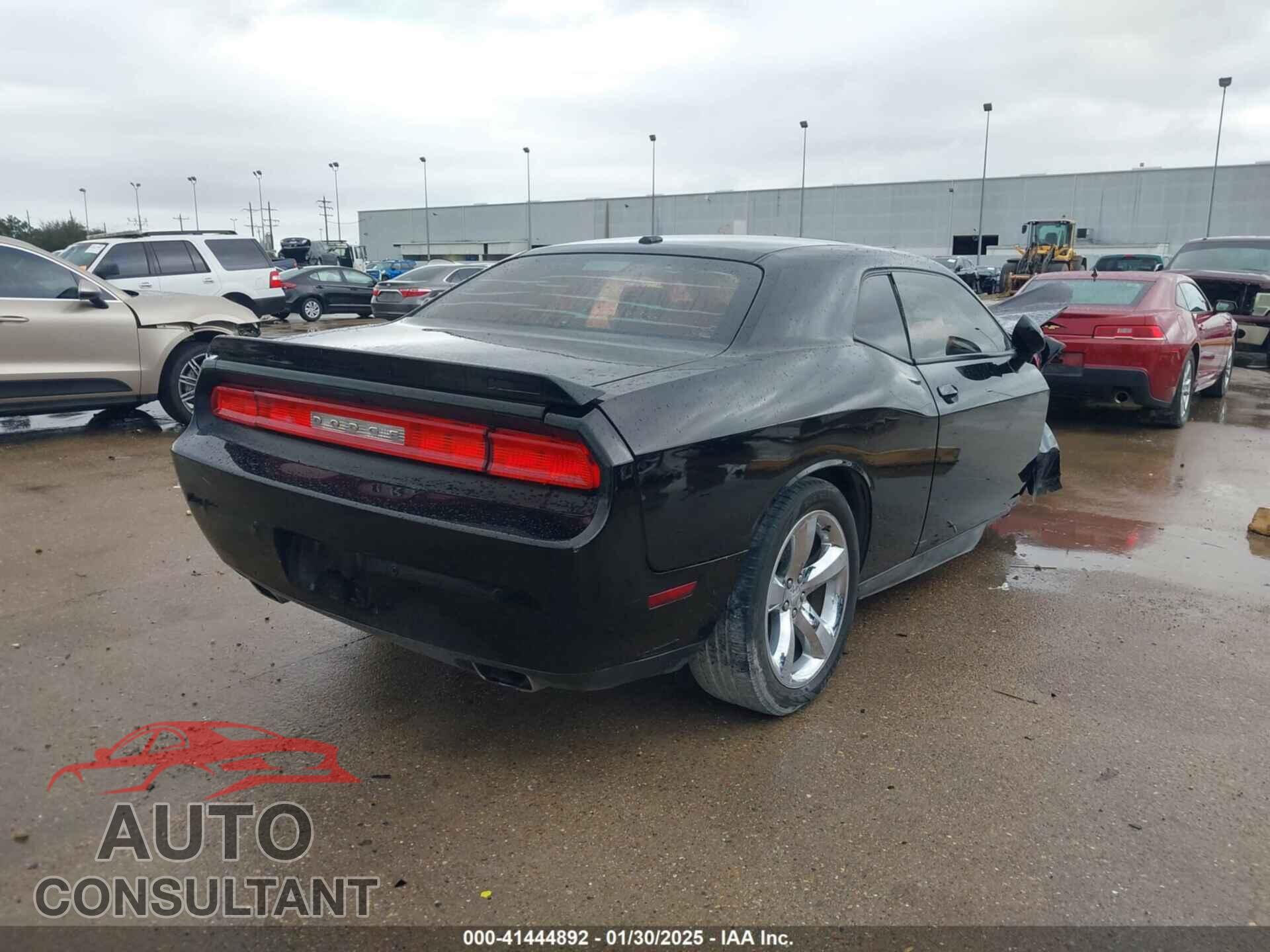 DODGE CHALLENGER 2013 - 2C3CDYBTXDH513902