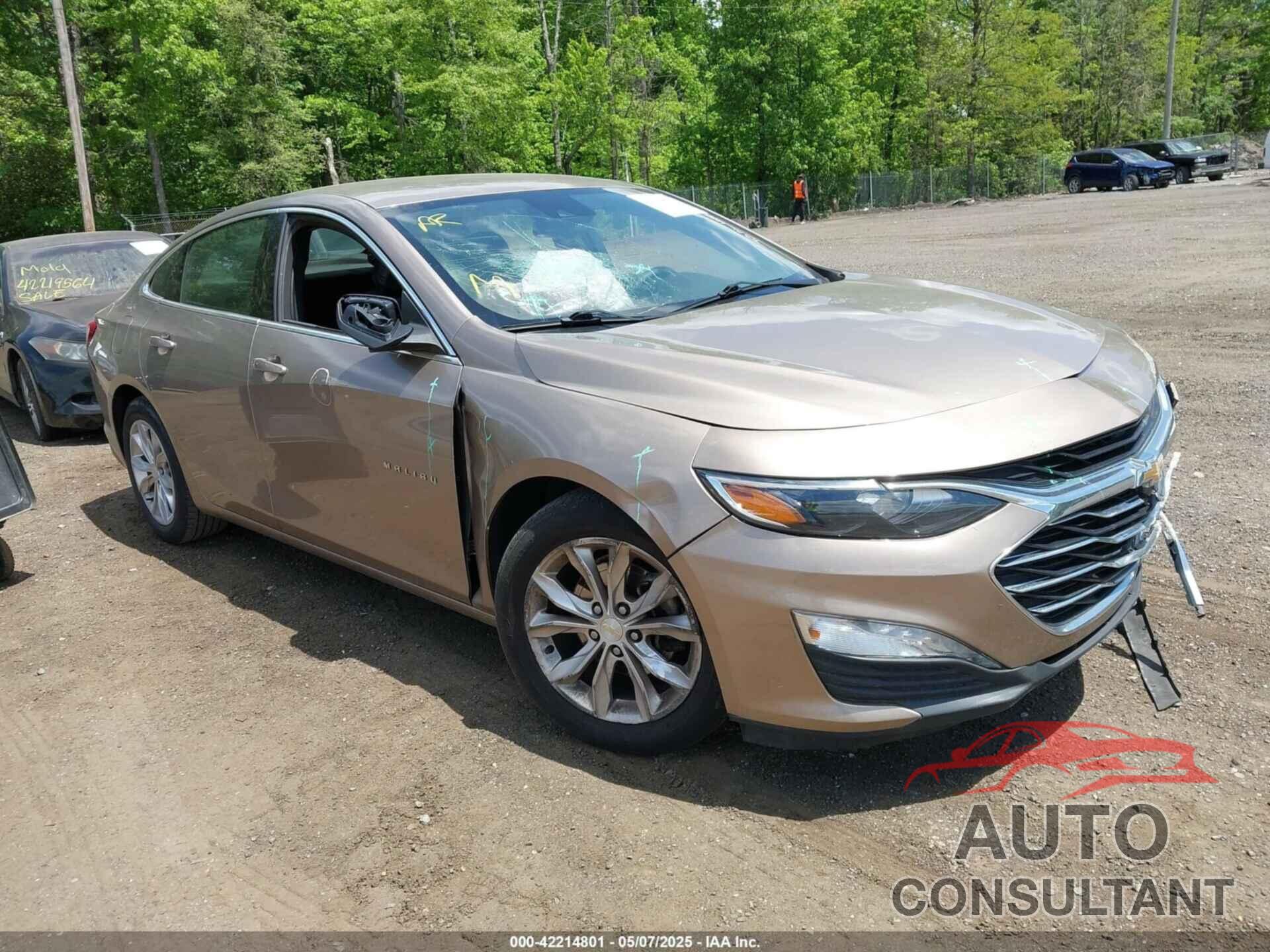 CHEVROLET MALIBU 2019 - 1G1ZD5ST9KF113468