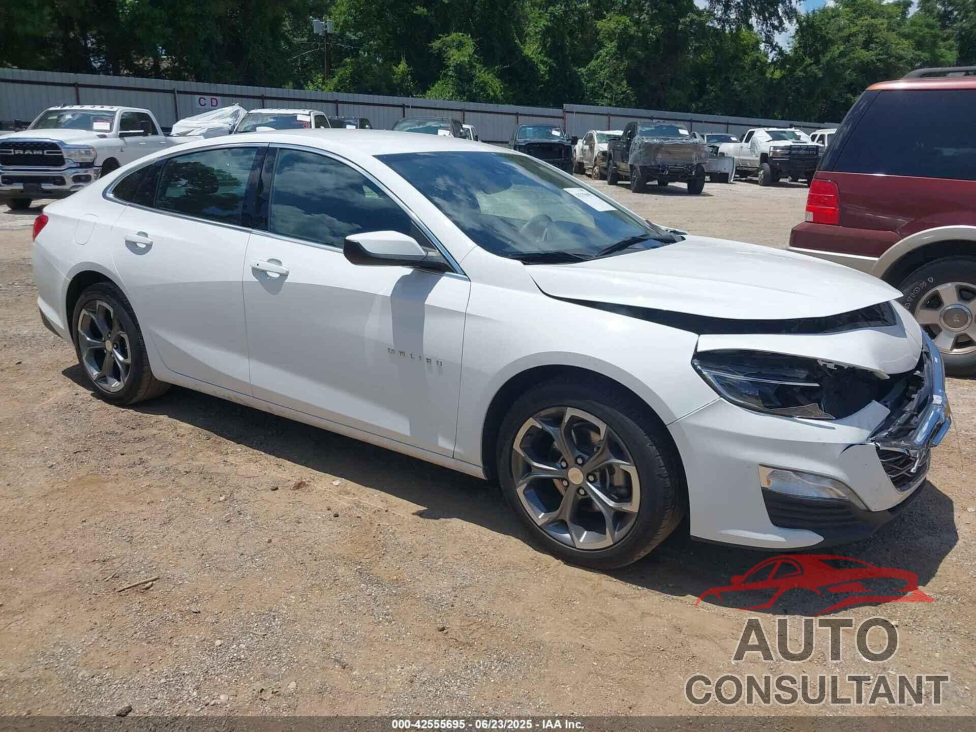 CHEVROLET MALIBU 2024 - 1G1ZD5ST8RF133401
