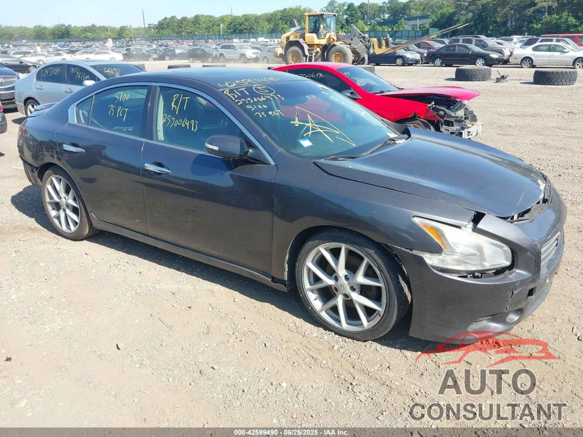 NISSAN MAXIMA 2009 - 1N4AA51EX9C811914