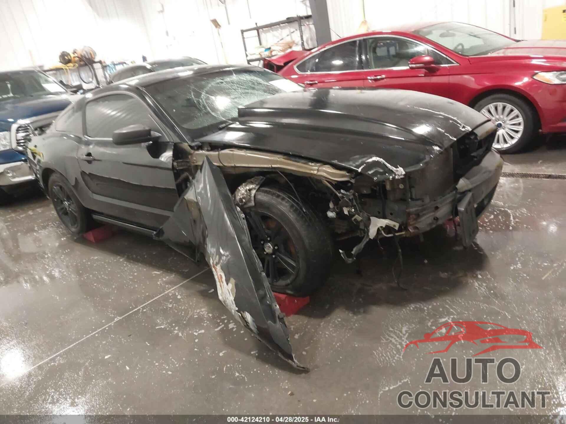 FORD MUSTANG 2014 - 1ZVBP8AM4E5236131