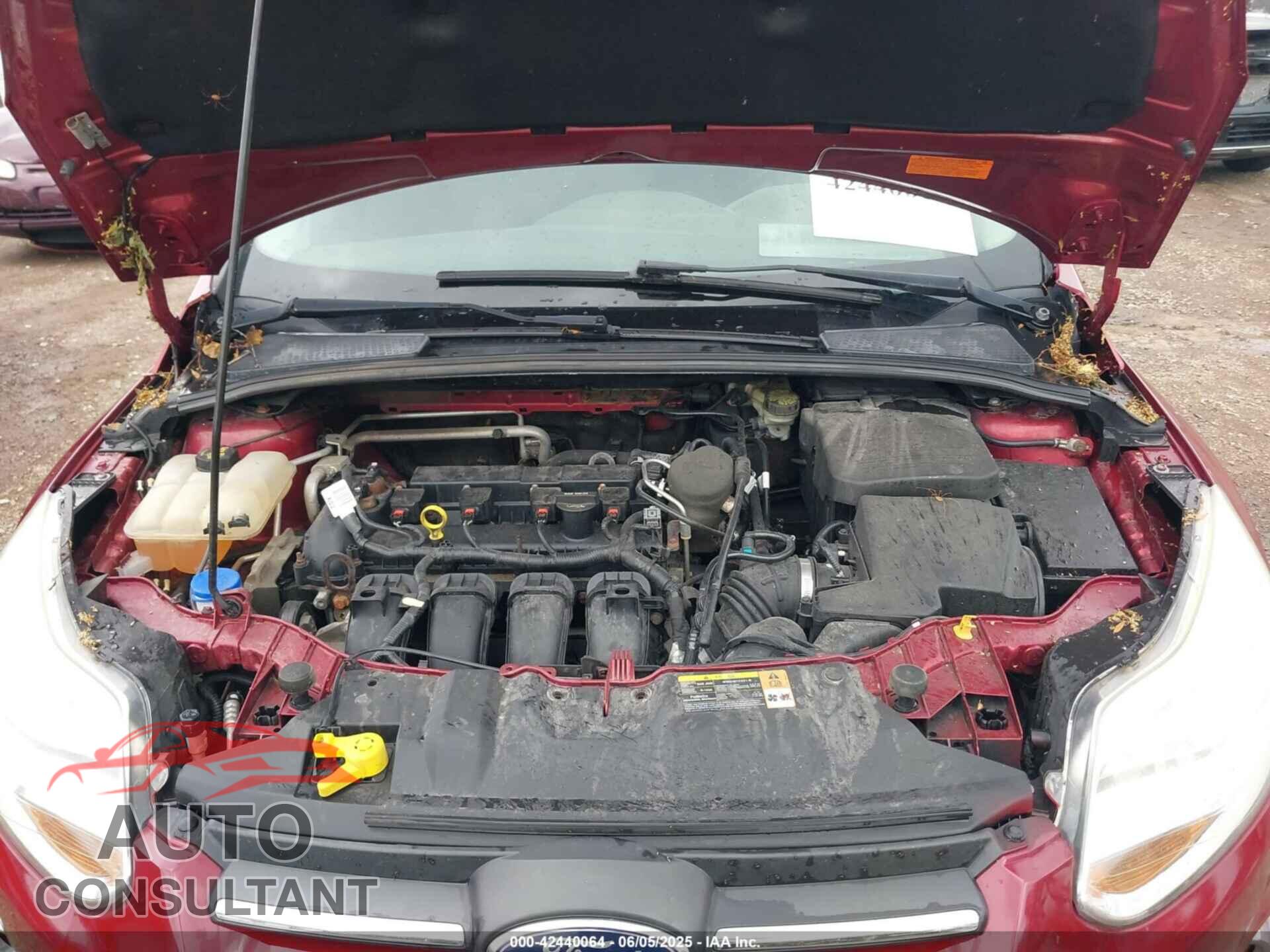 FORD FOCUS 2014 - 1FADP3K20EL245213