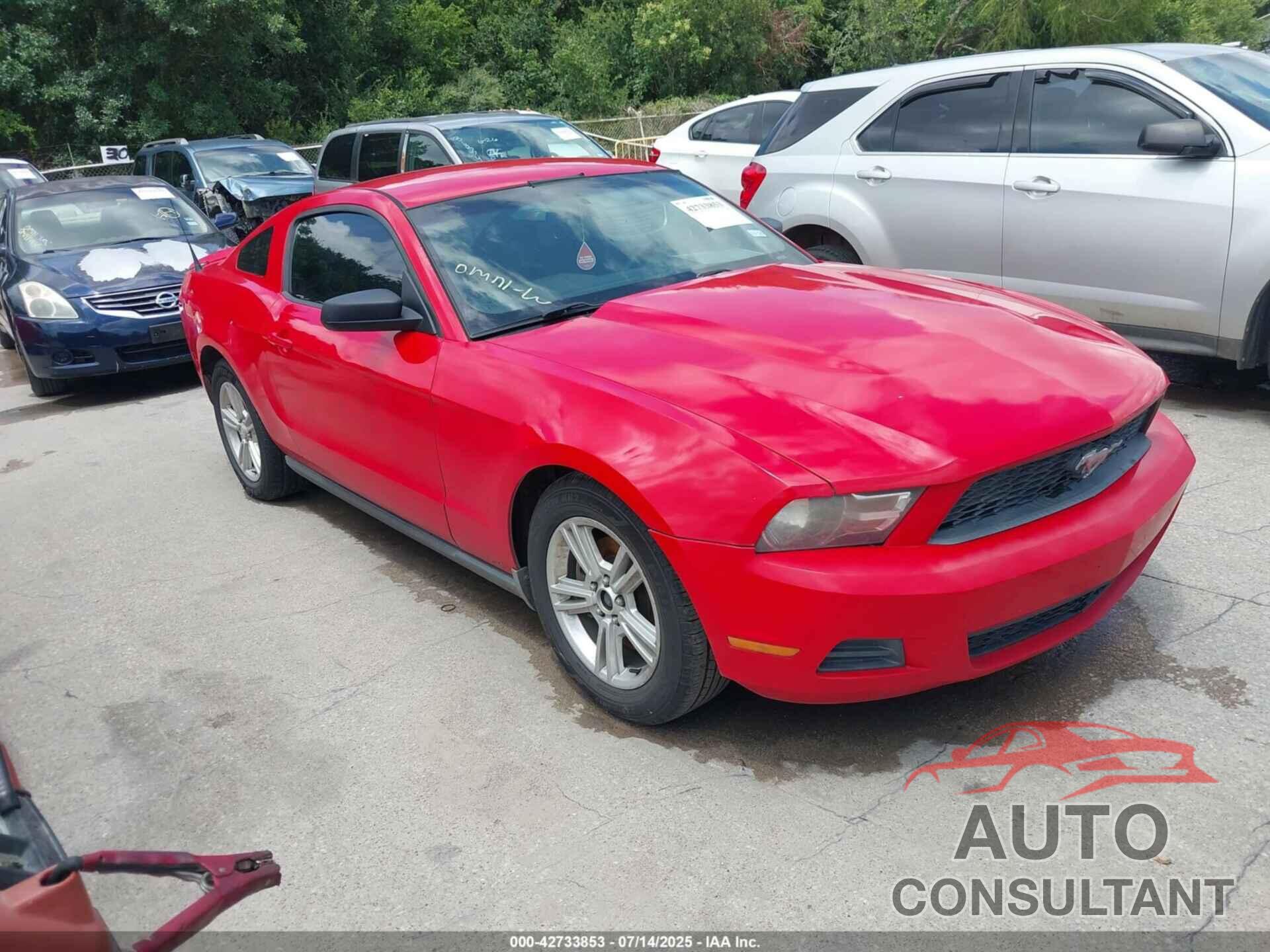 FORD MUSTANG 2011 - 1ZVBP8AM1B5103547