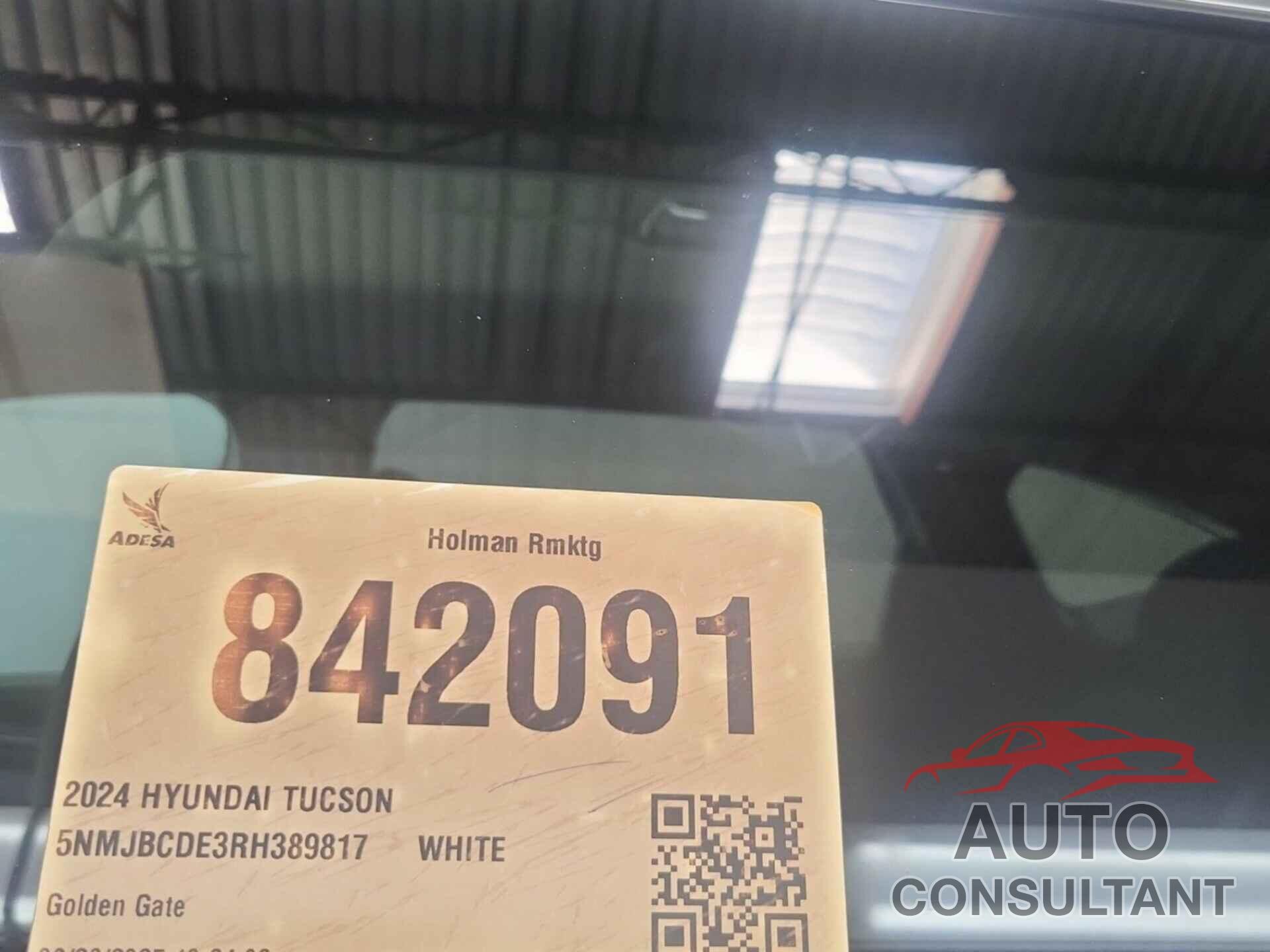 HYUNDAI TUCSON 2024 - 5NMJBCDE3RH389817