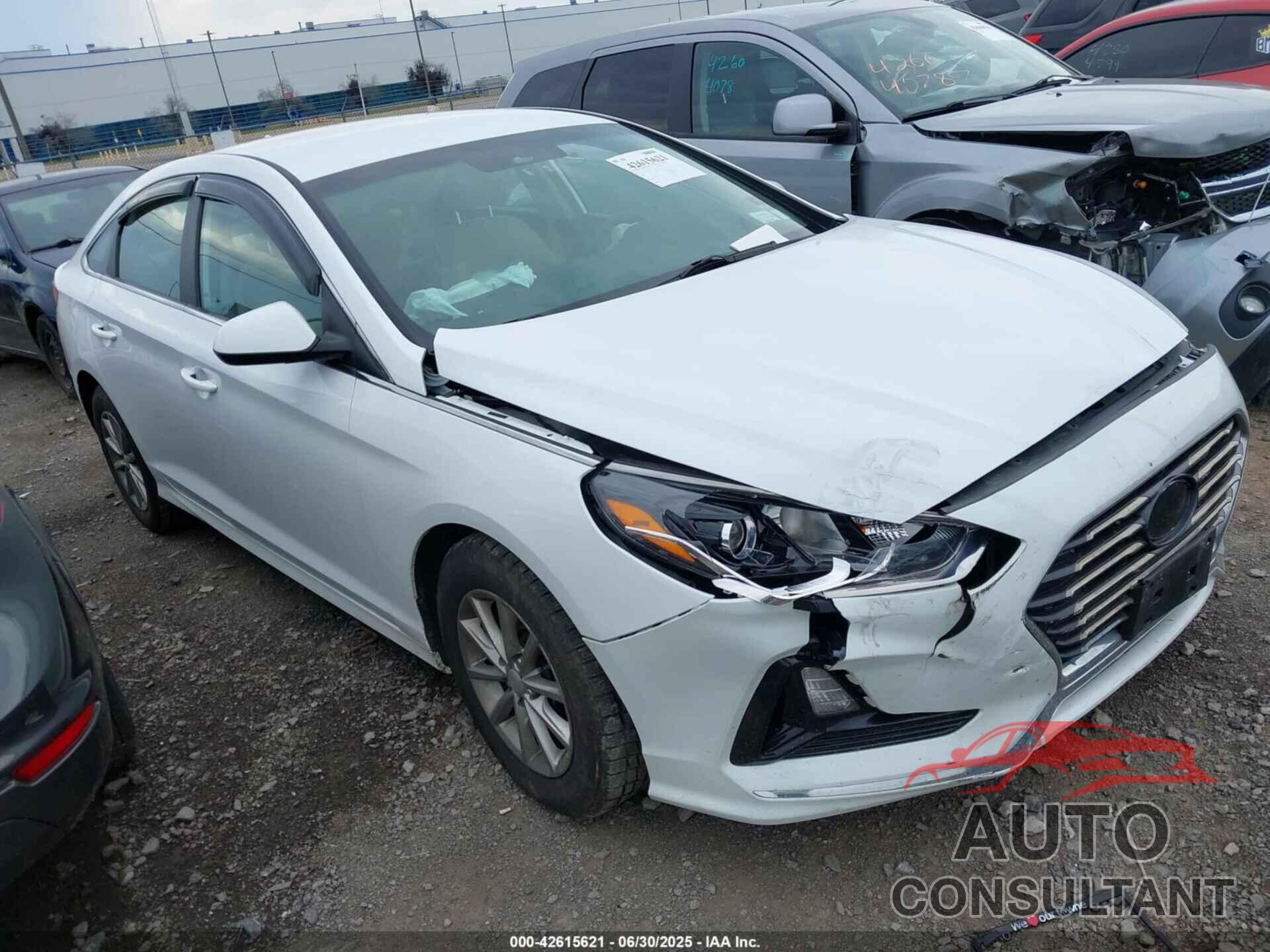 HYUNDAI SONATA 2019 - 5NPE24AF4KH735550