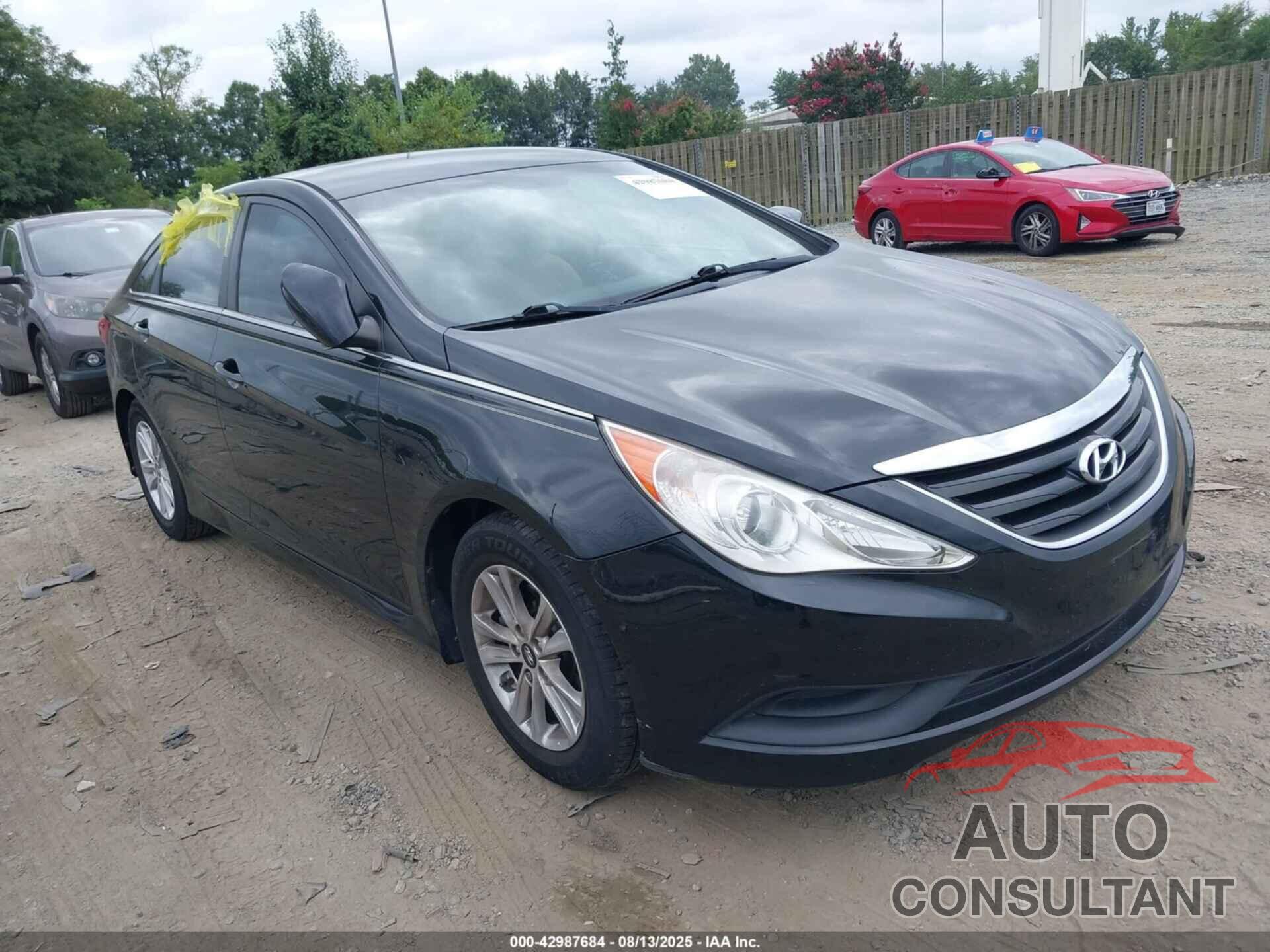 HYUNDAI SONATA 2014 - 5NPEB4AC9EH880920