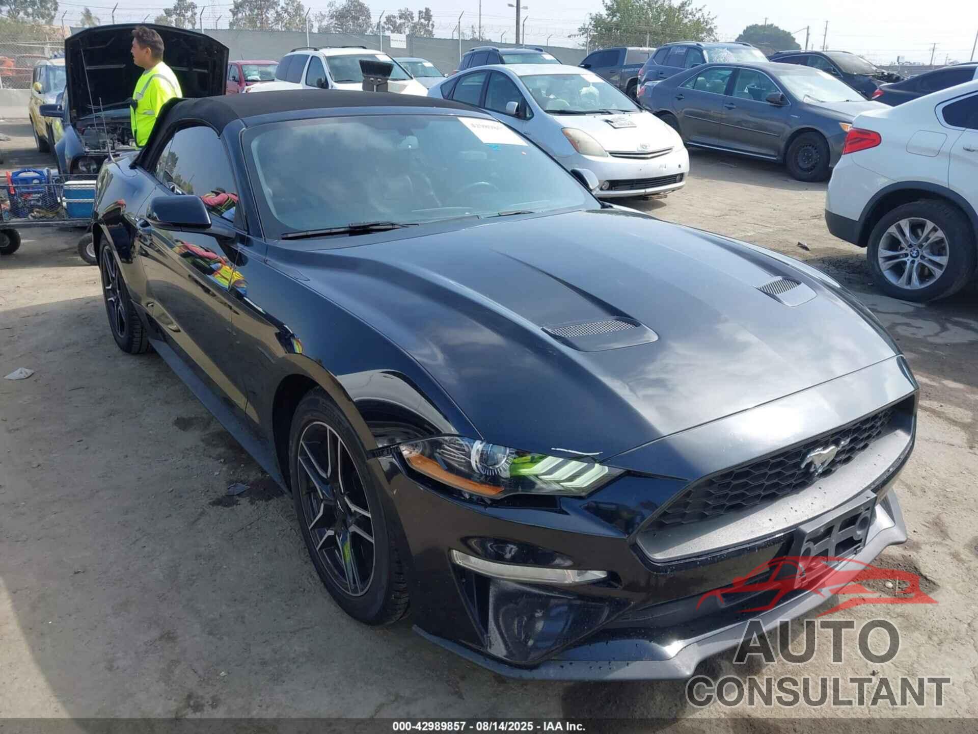 FORD MUSTANG 2019 - 1FATP8UH9K5171901