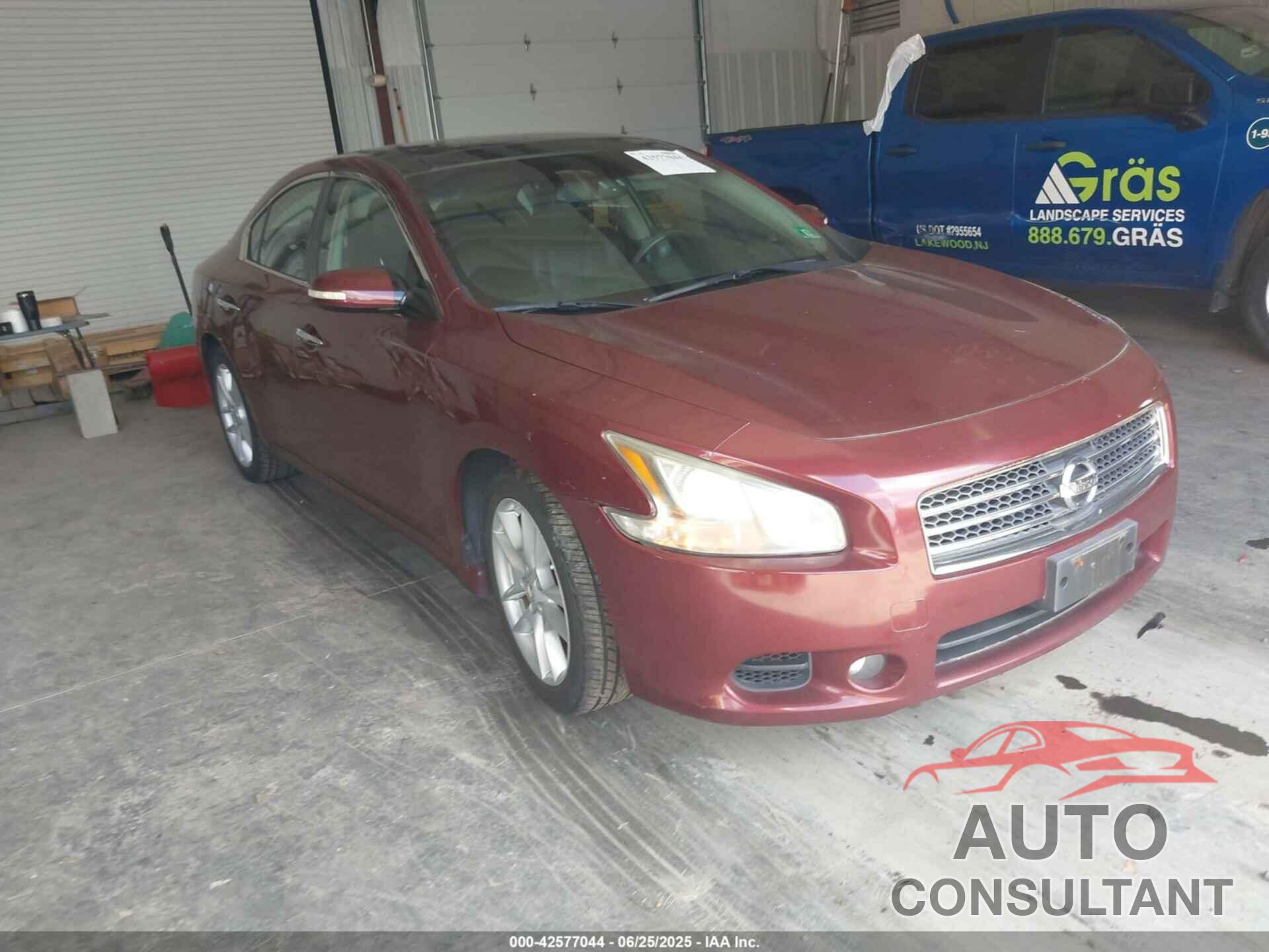 NISSAN MAXIMA 2010 - 1N4AA5AP2AC824663