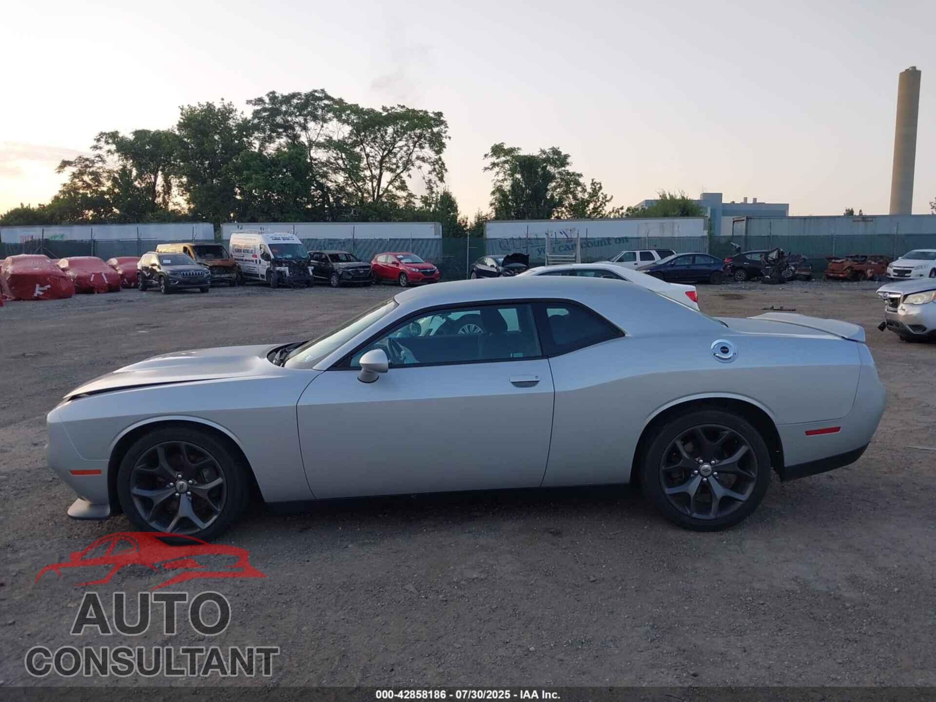 DODGE CHALLENGER 2019 - 2C3CDZJG1KH663226