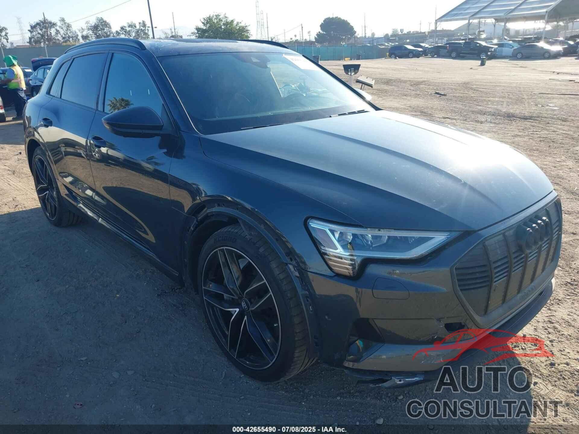 AUDI E-TRON 2019 - WA1VAAGE6KB016070
