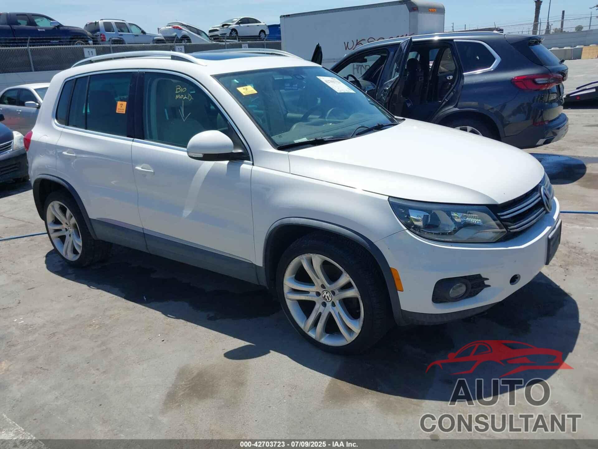 VOLKSWAGEN TIGUAN 2013 - WVGBV3AX0DW060270