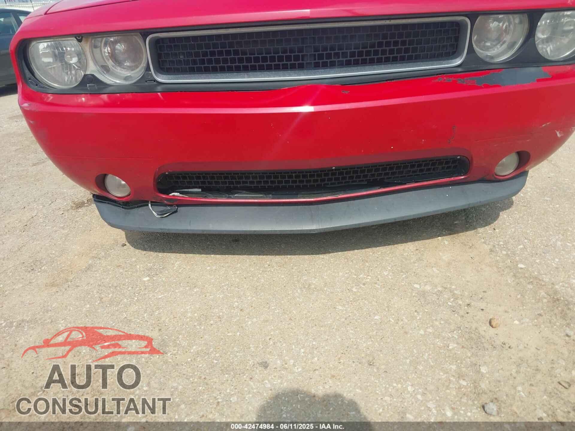 DODGE CHALLENGER 2013 - 2C3CDYAG7DH540401