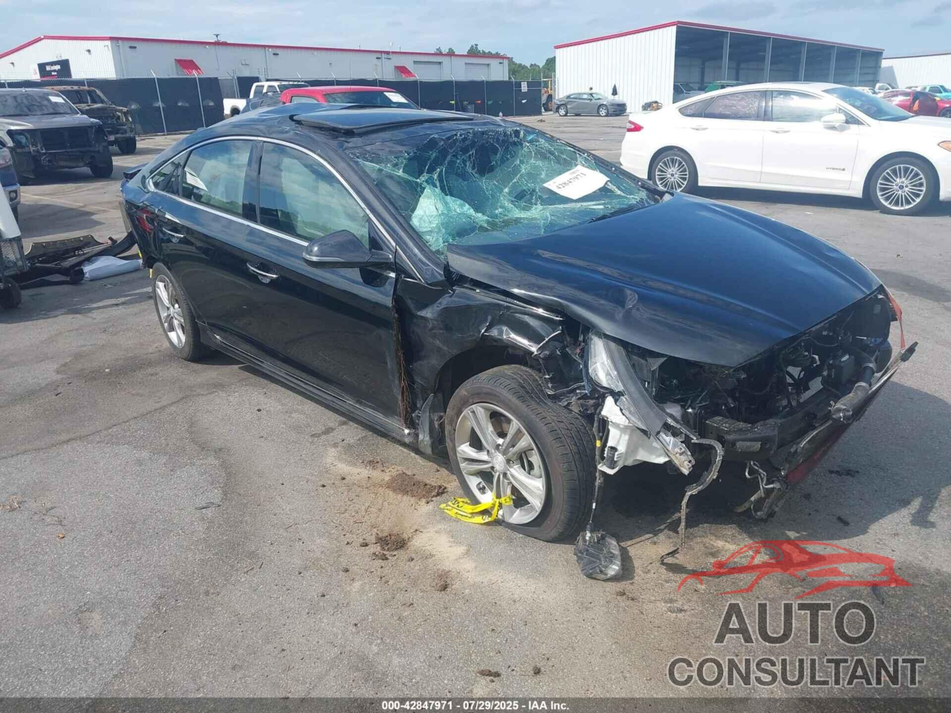 HYUNDAI SONATA 2019 - 5NPE34AF7KH769947