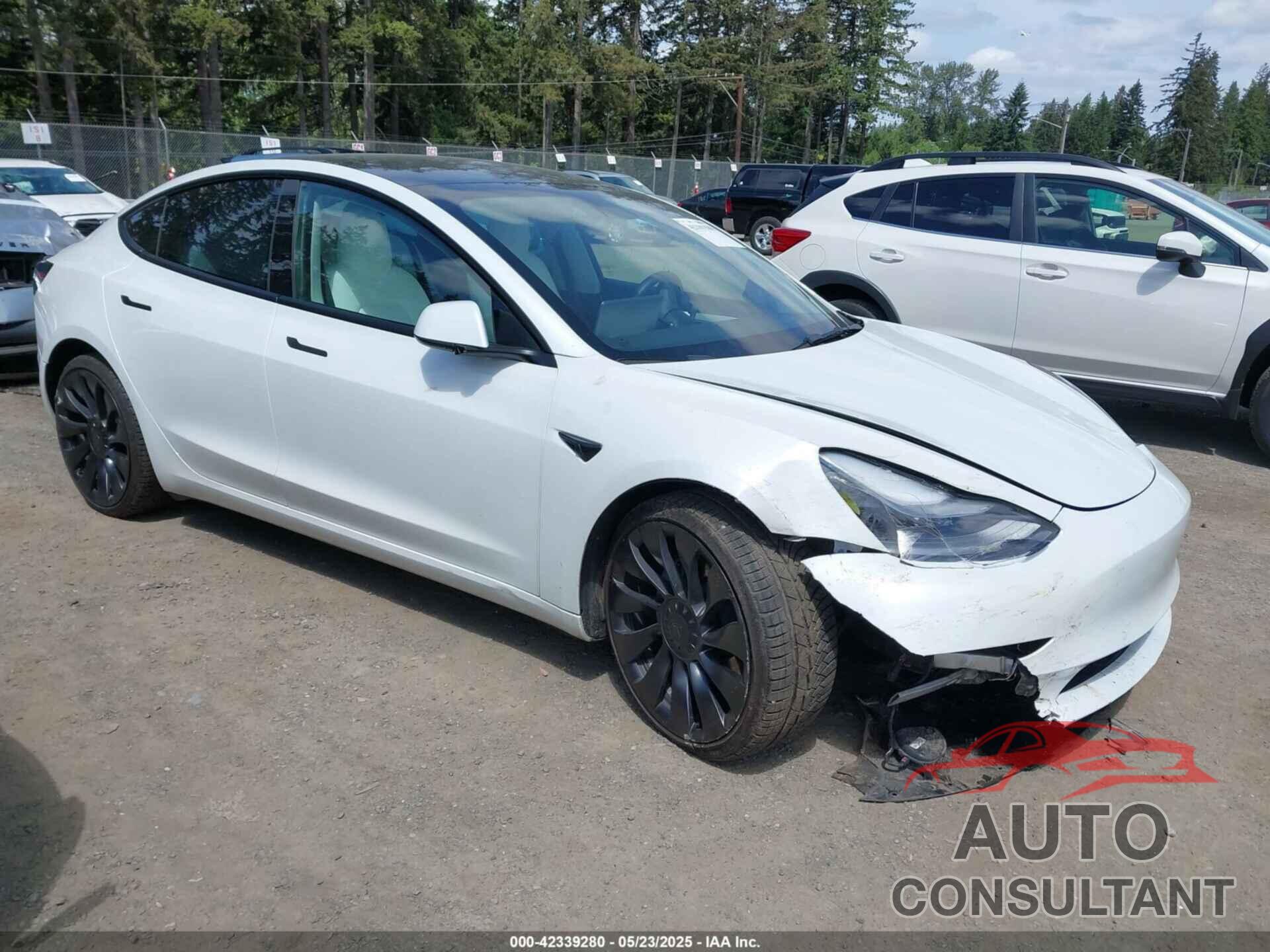 TESLA MODEL 3 2022 - 5YJ3E1EB3NF203181